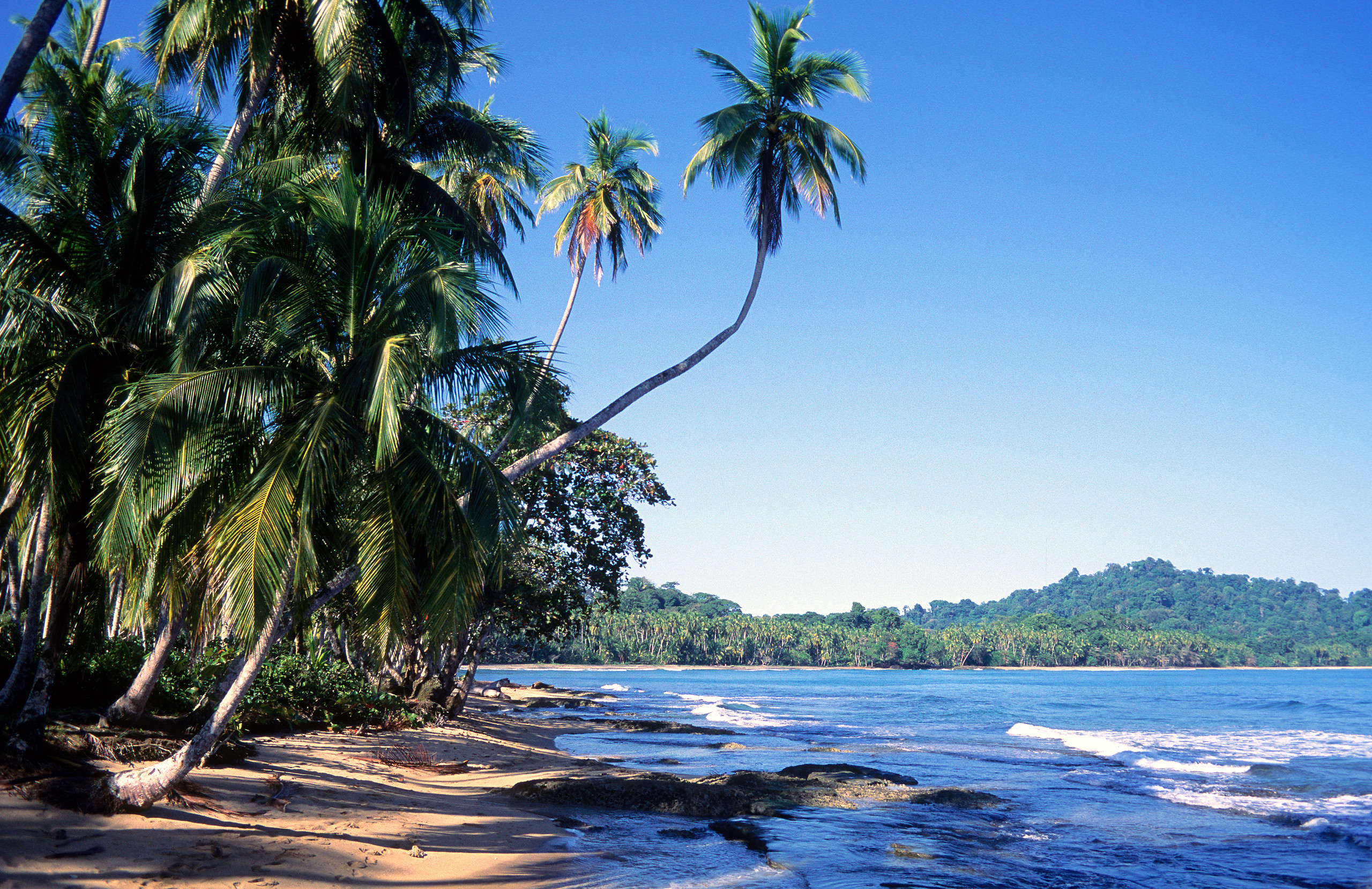 Limón / The Cahuita National Park (1/2 day)