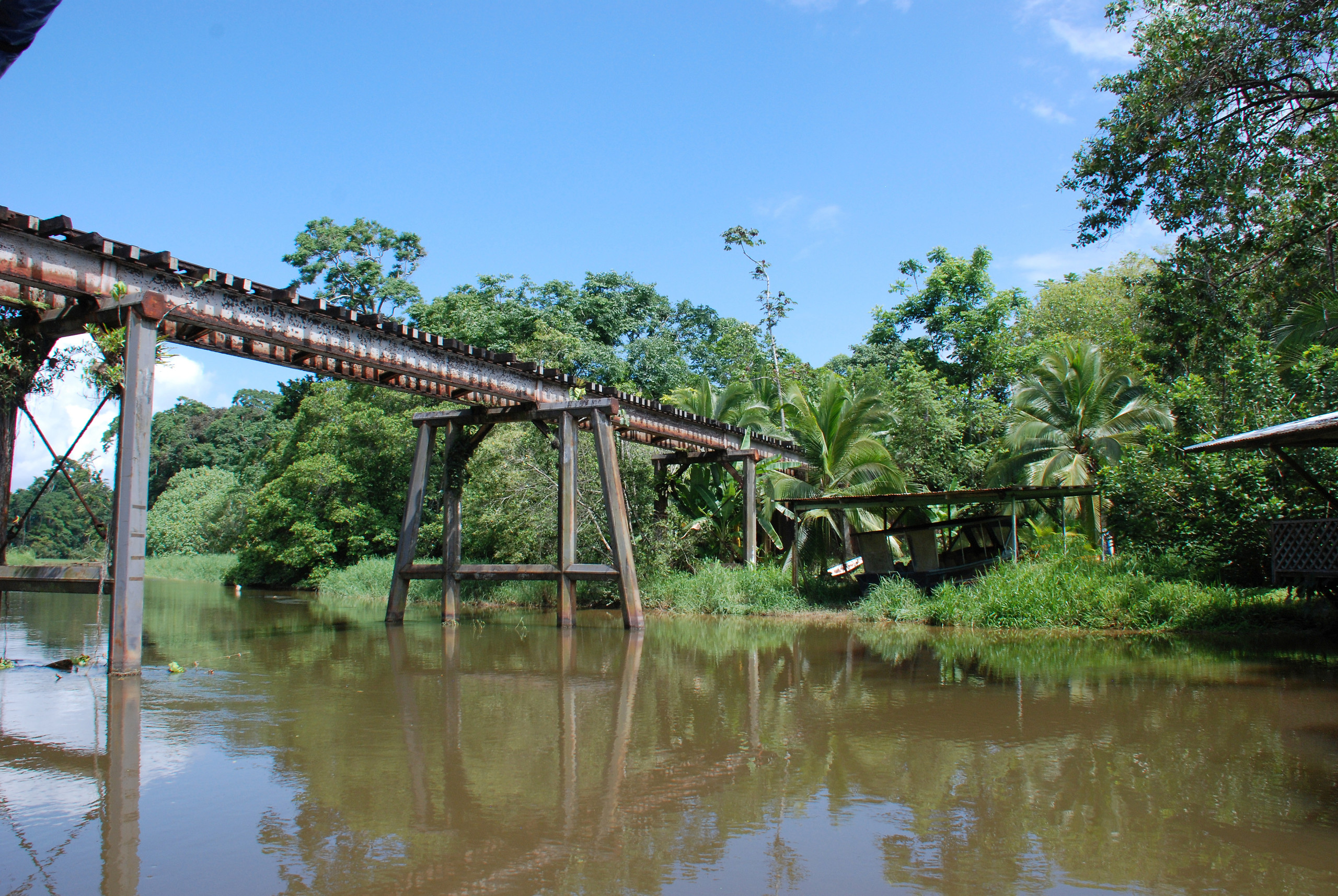 Limon / The canals of Tortuguero (1/2 day)