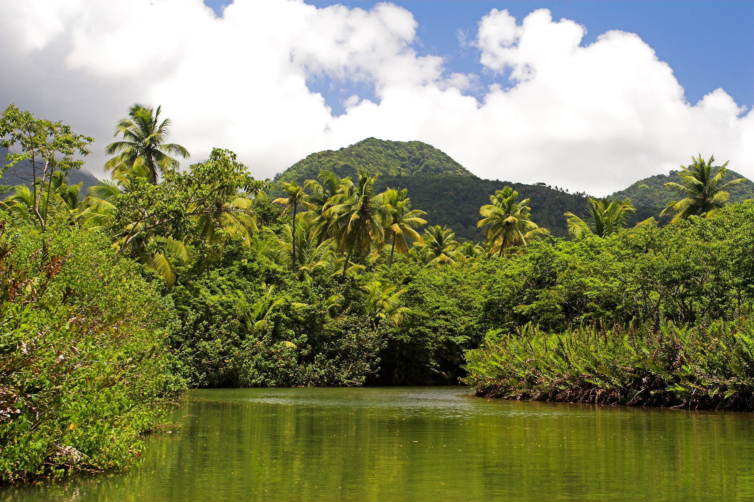 Port Antonio / Croisière sur le Rio Grande (1/2 journée, matin)