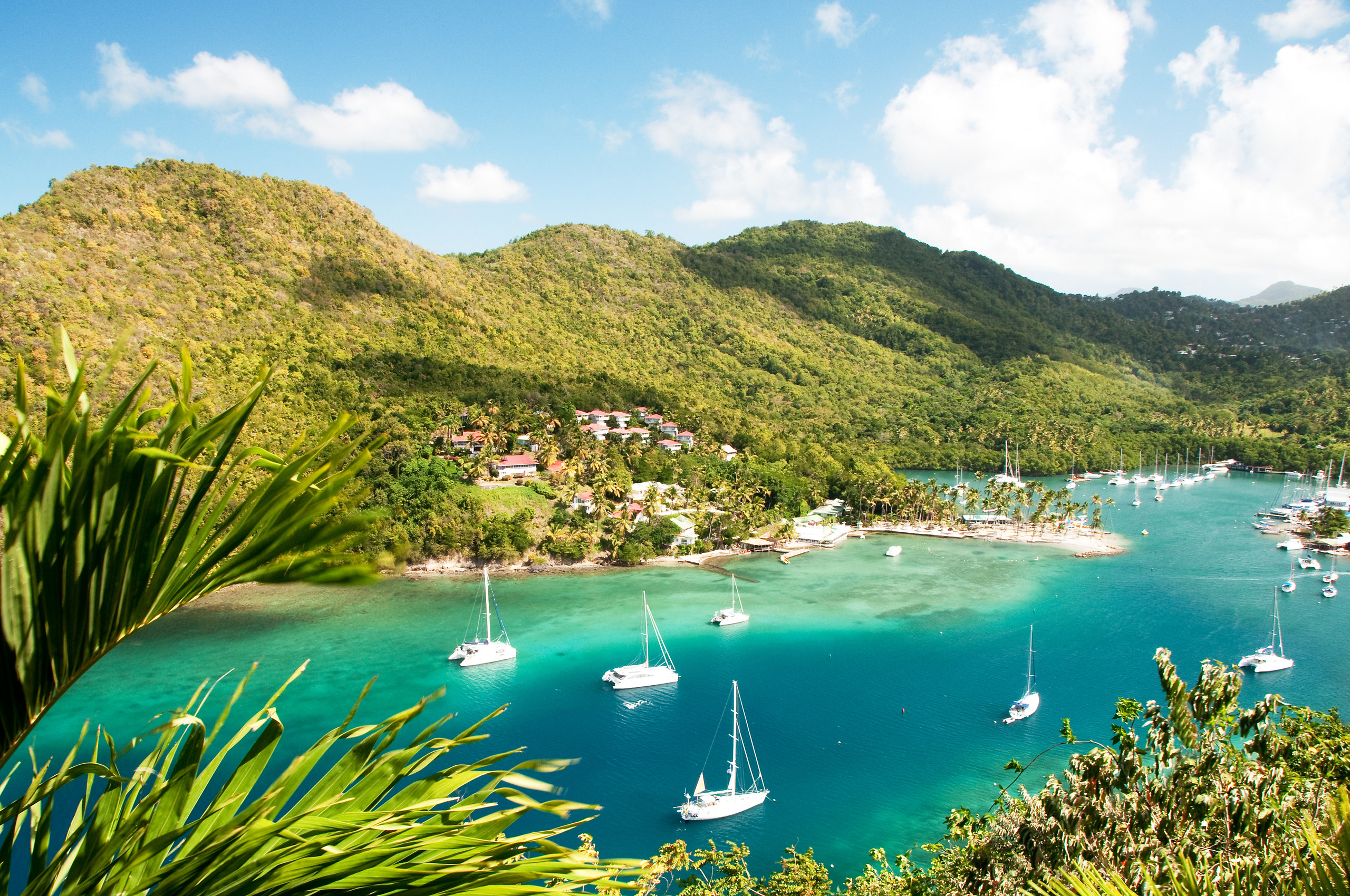 St Lucia / Island tour (1/2 day - afternoon)
