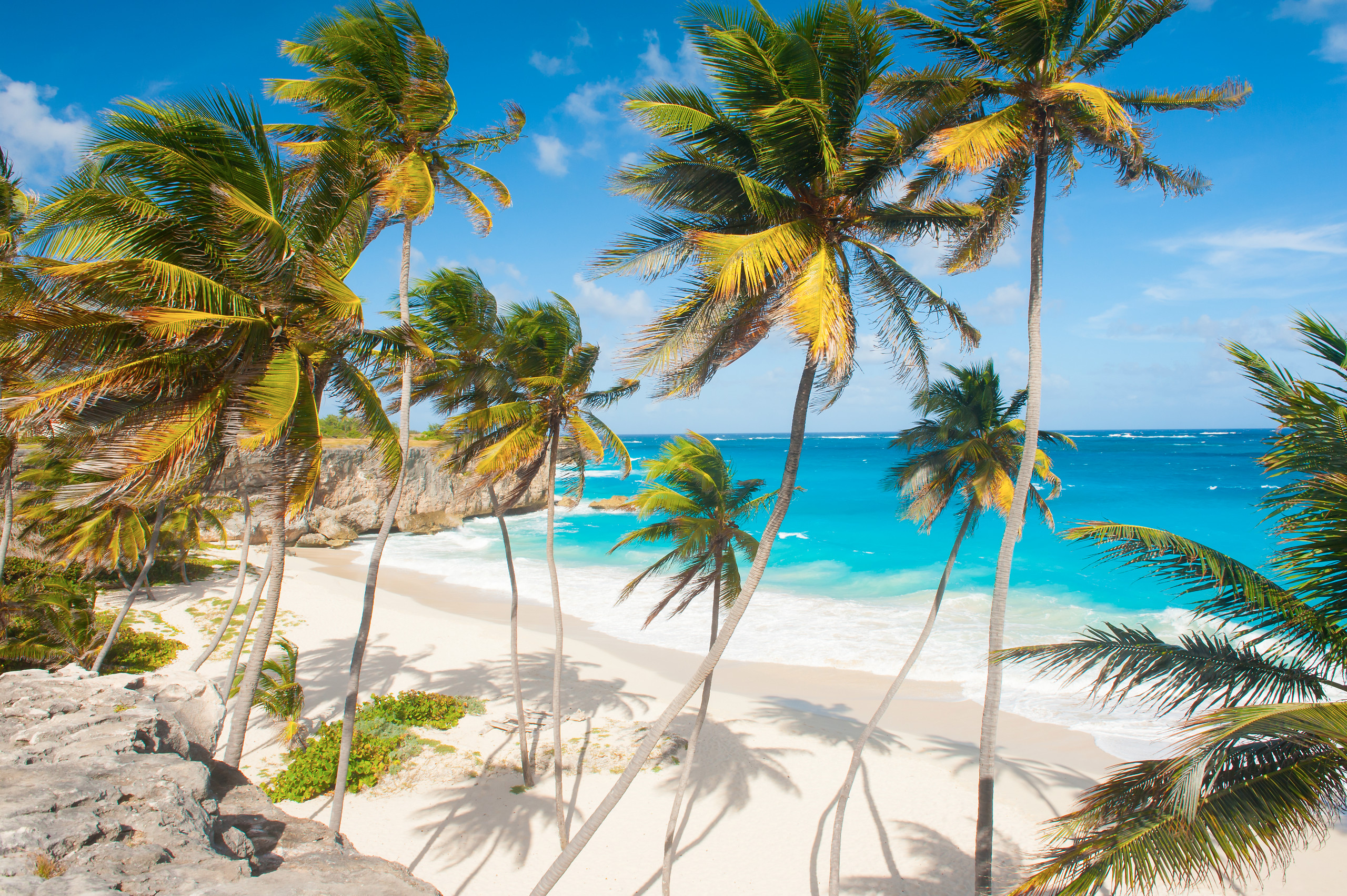 Barbados / Remote Barbados in a 4x4 (1/2 day)