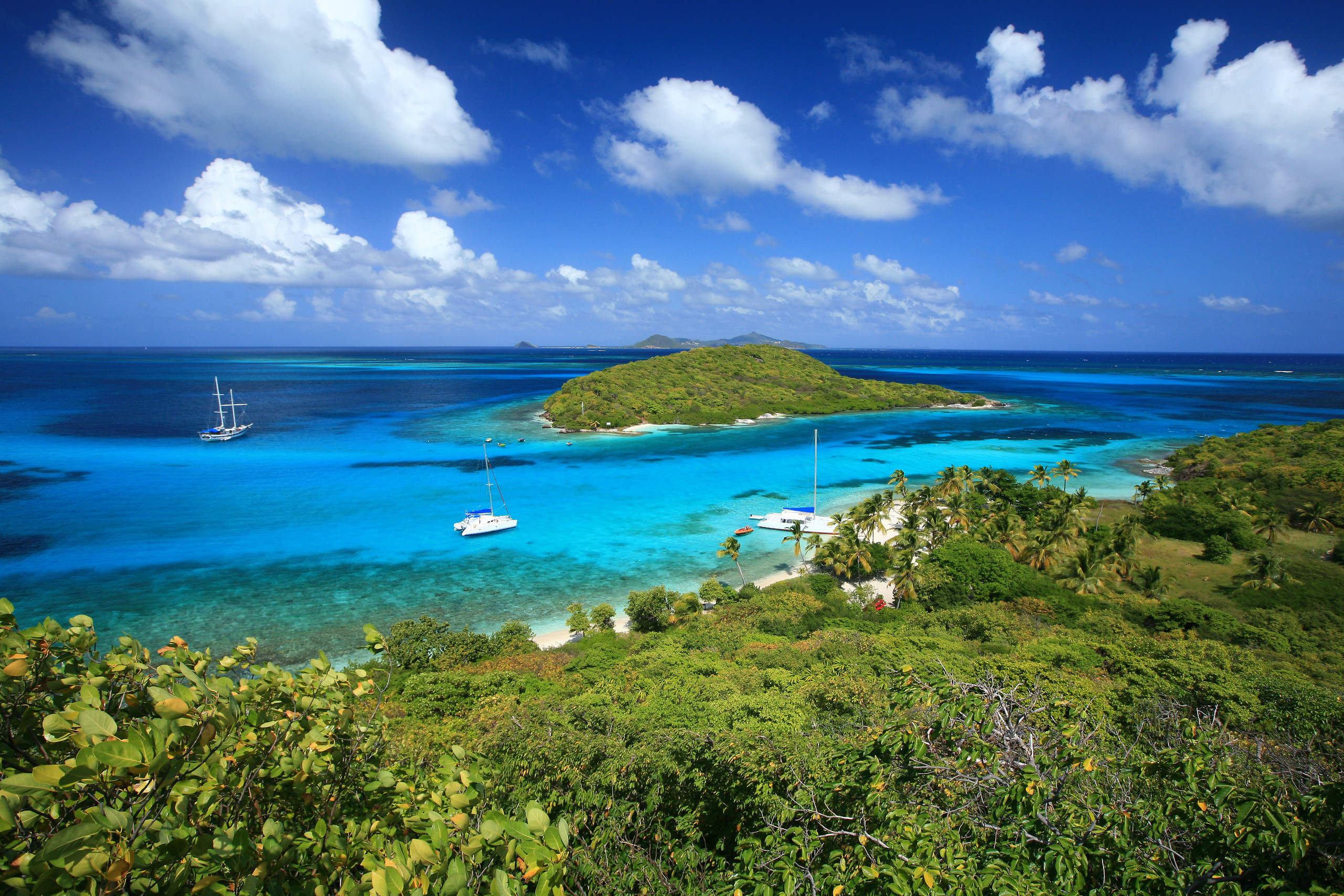 Tobago Cays / Catamaran Morpion Island (1/2 day)