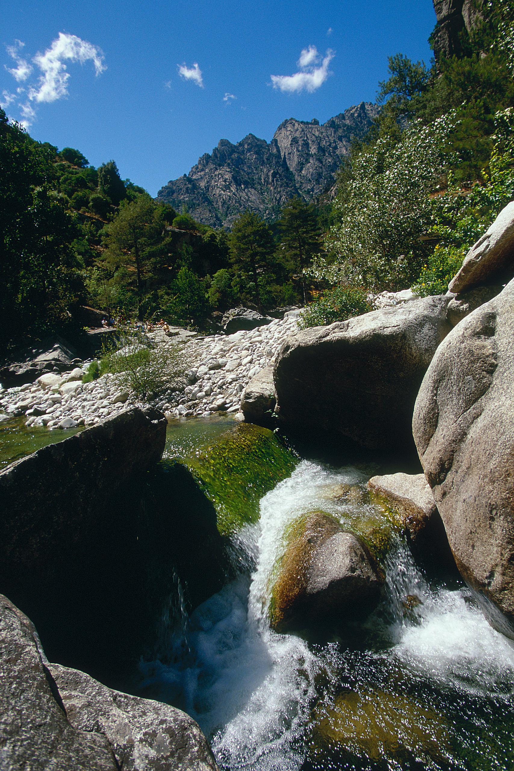 Nage en eaux vives