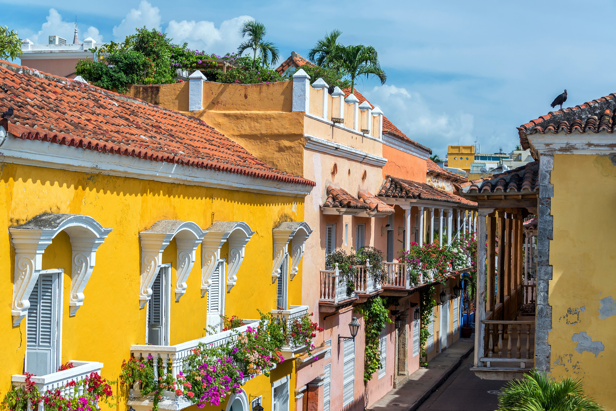 Santa Marta / Santa Marta City tour (1/2 day, morning)