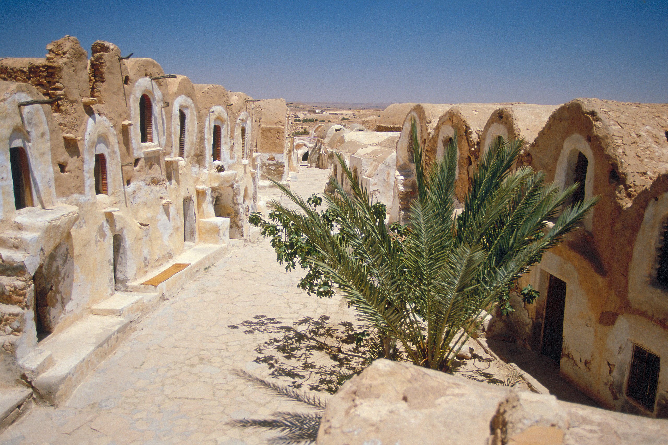 Nomade et Oasis: Ksar Ghilane