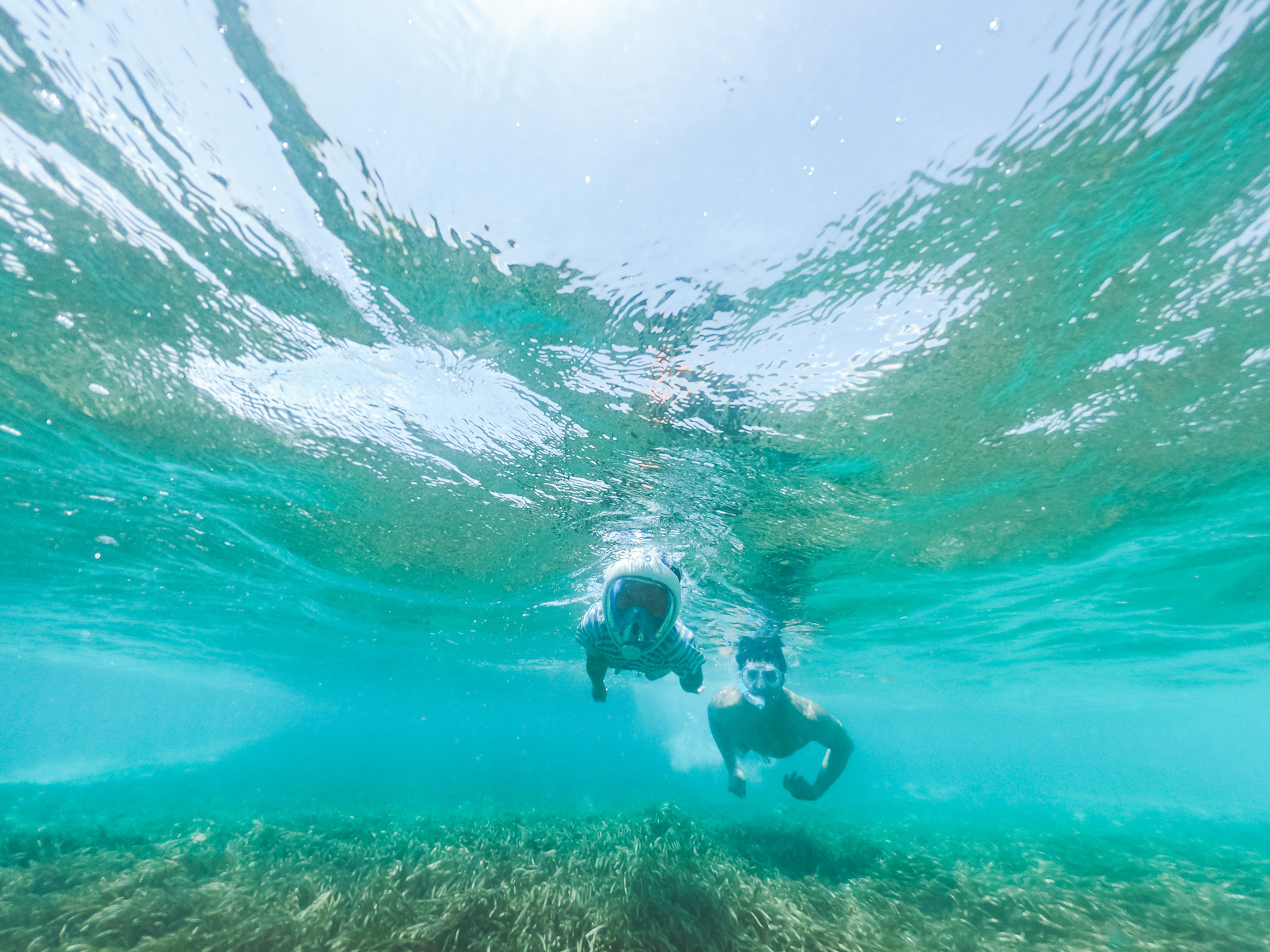 Snorkeling