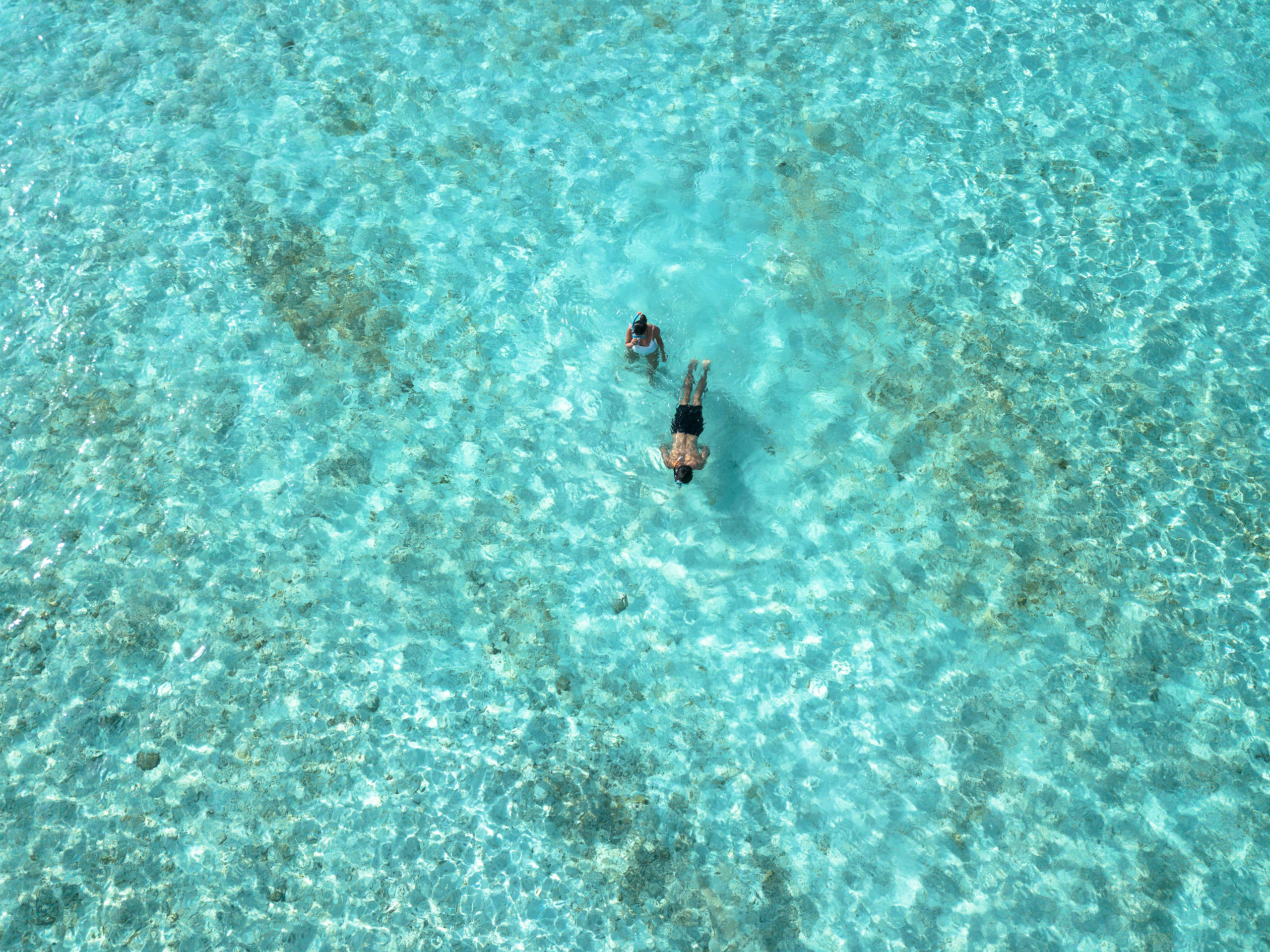 Snorkeling