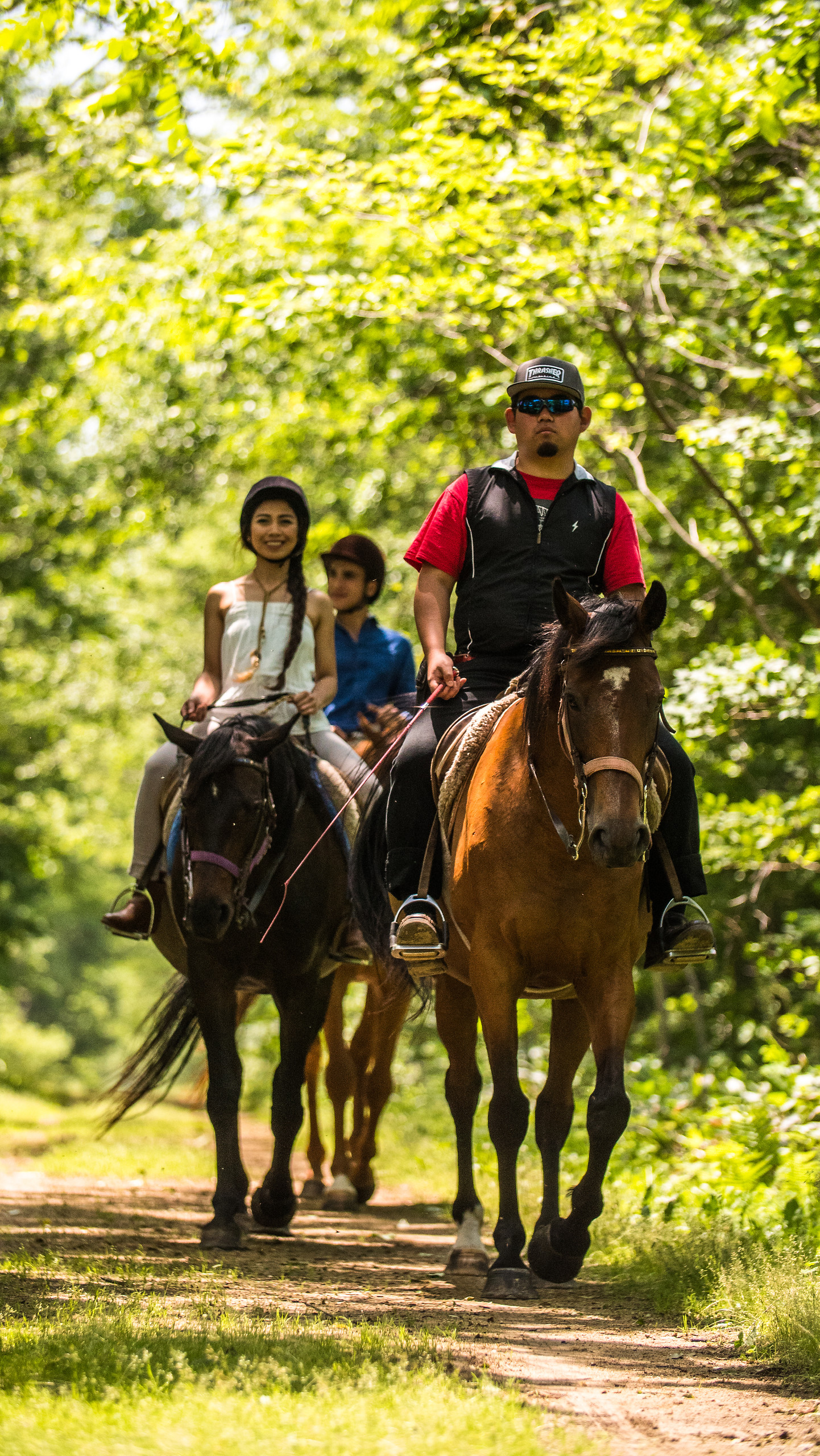 Équitation