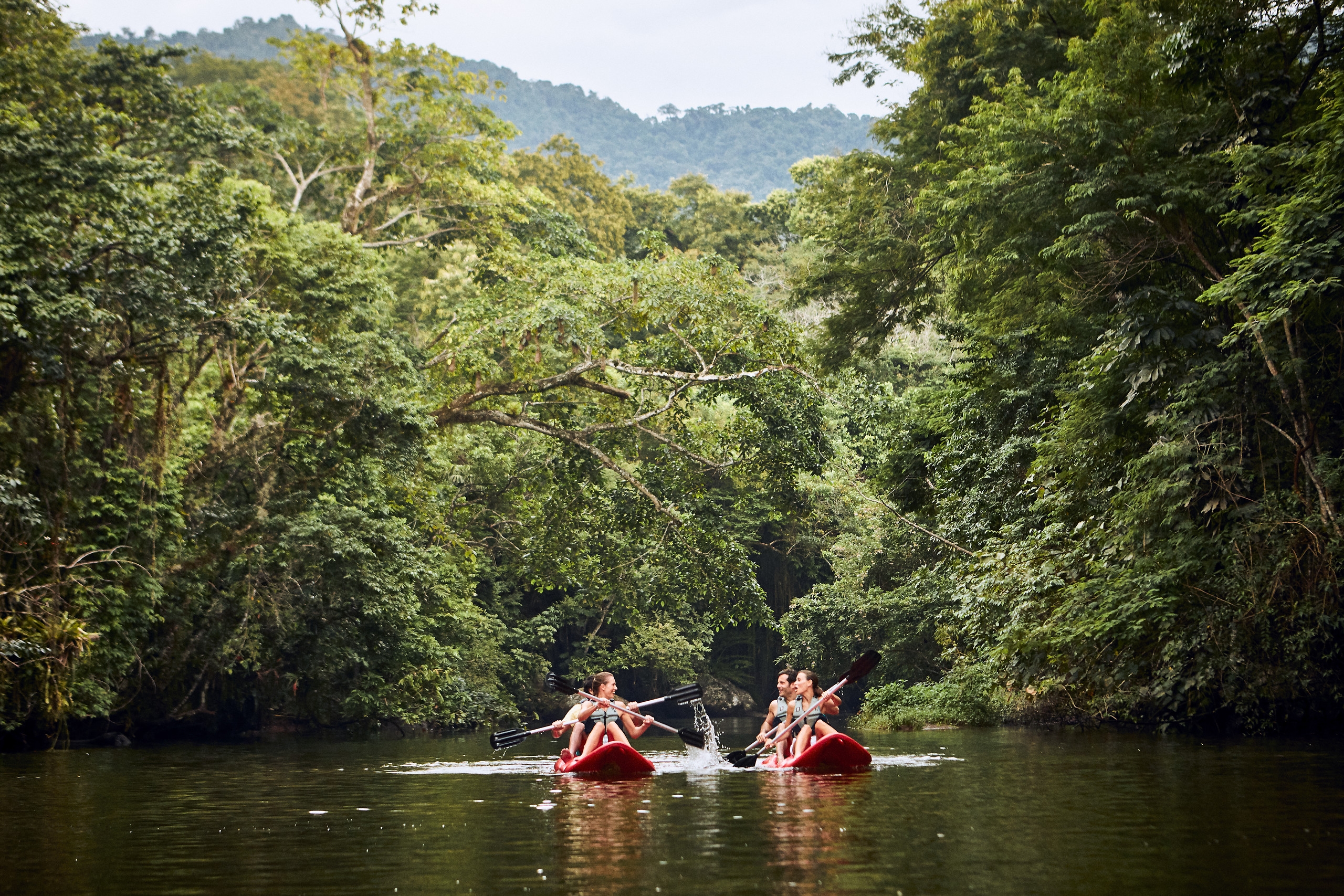 Kayaking in the mangrove