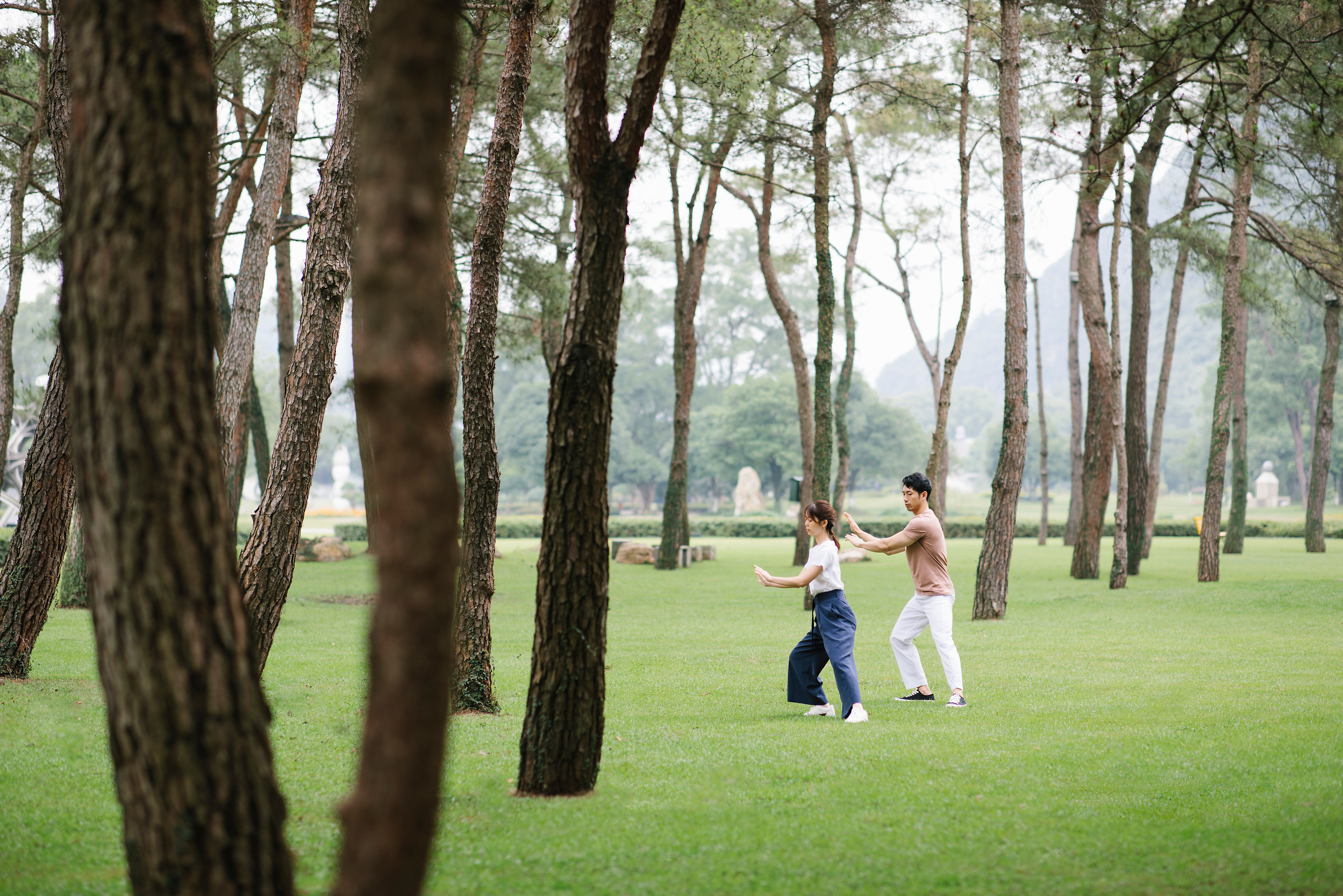 Fitness i tai chi