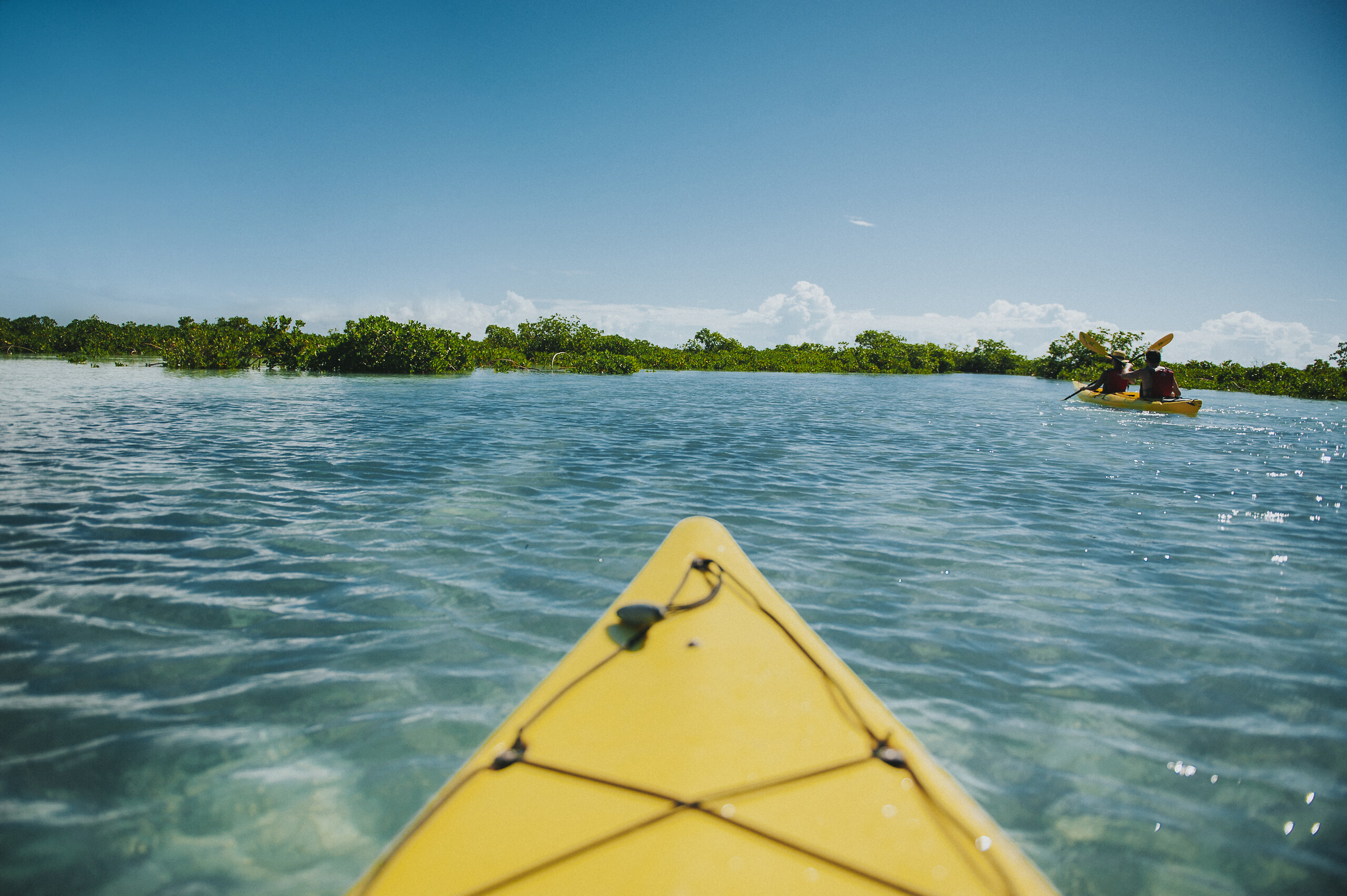 Kayak