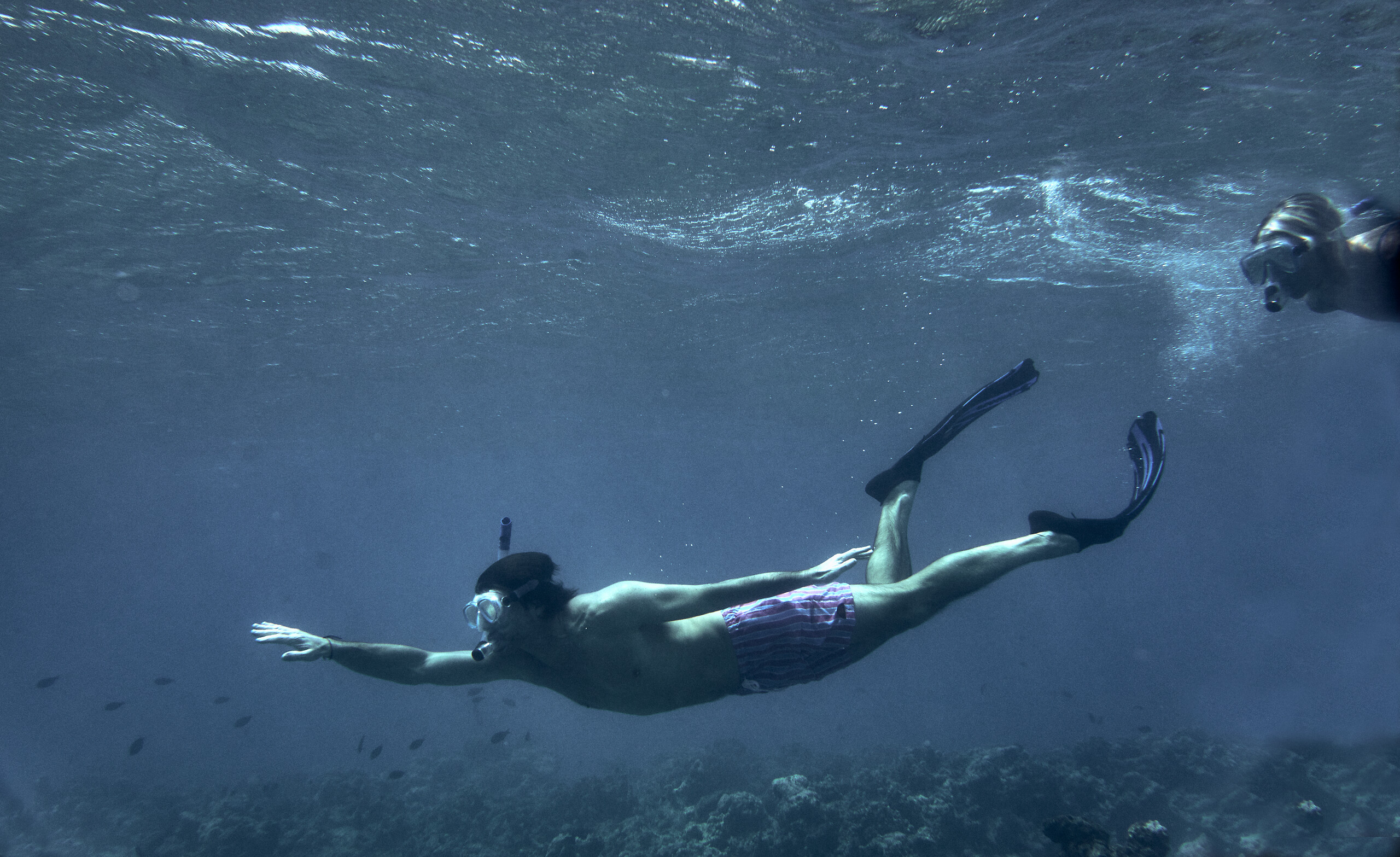 Sail & snorkel cruise