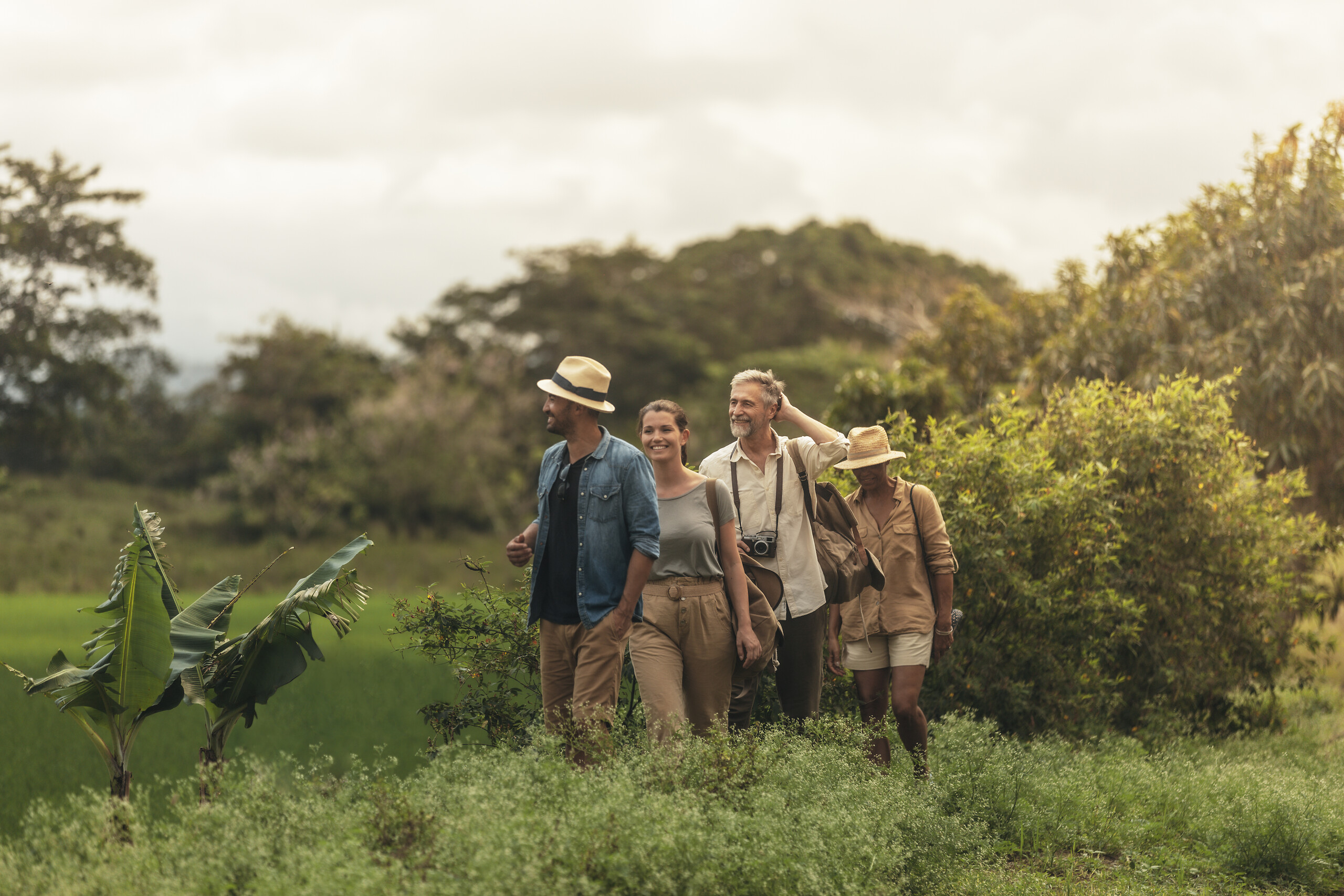 Lush landscape expedition