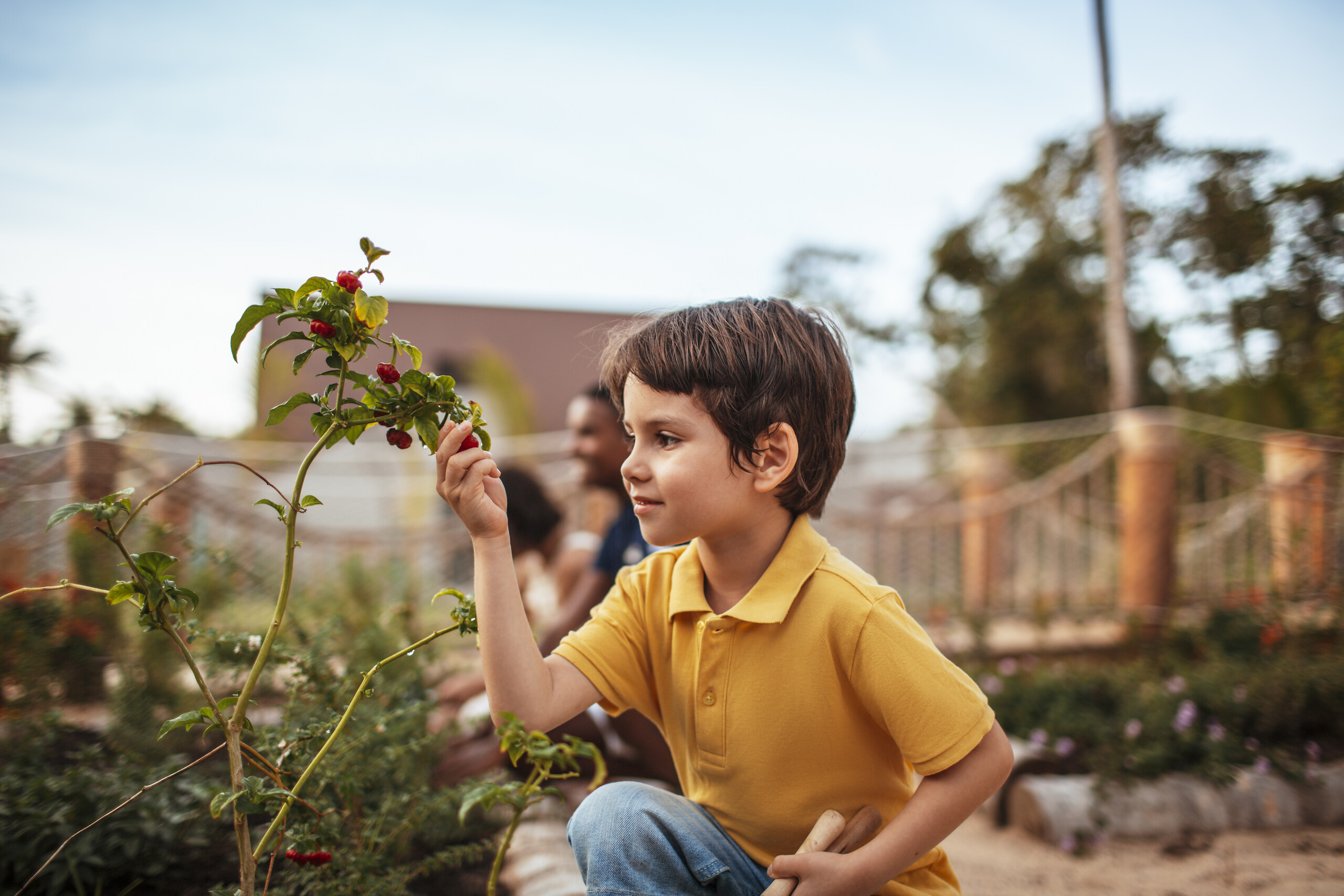 Nature and discovery activities for children at Mini Club Med®