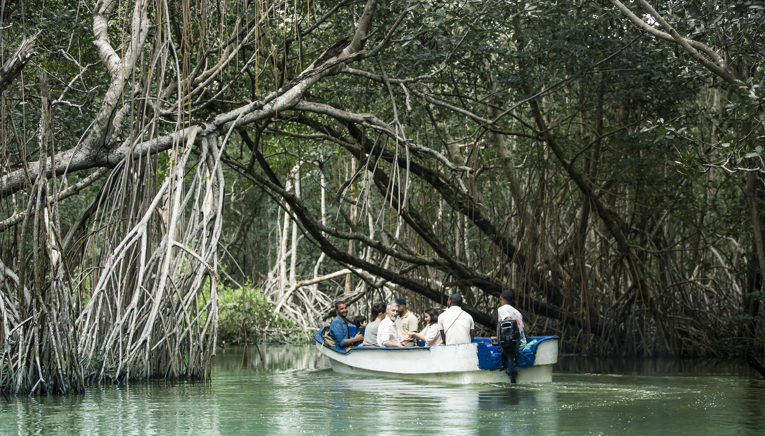 Hidden treasures of los Haitises