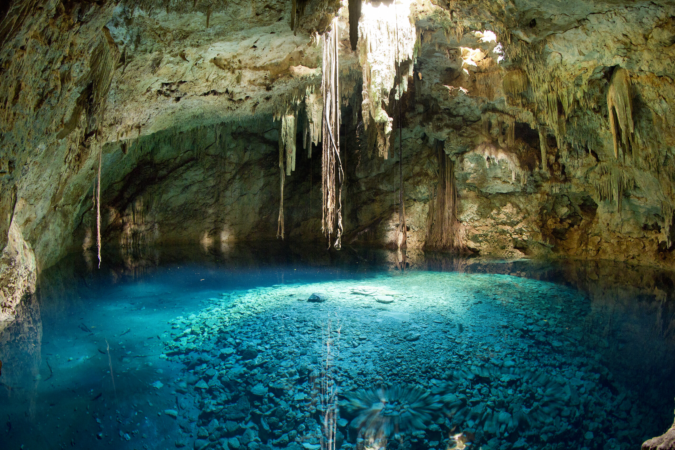 Cenote diving