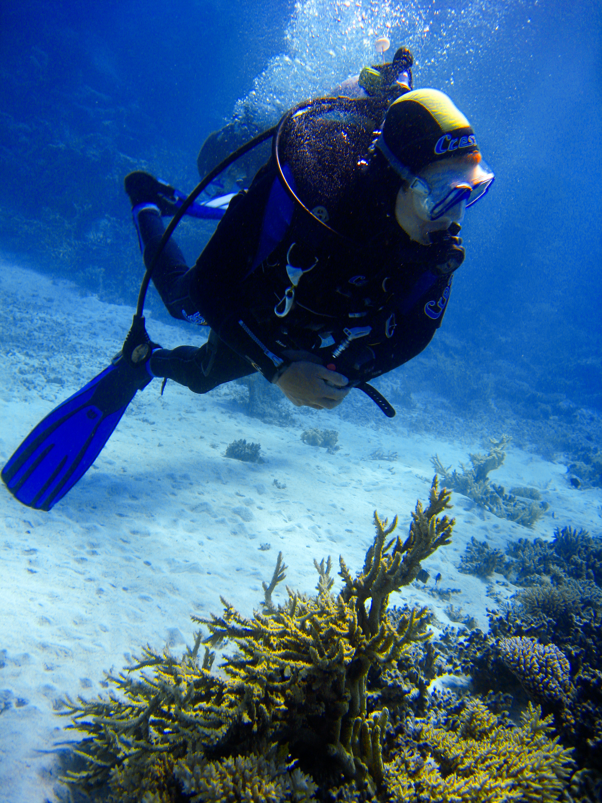 Shipwreck Diving