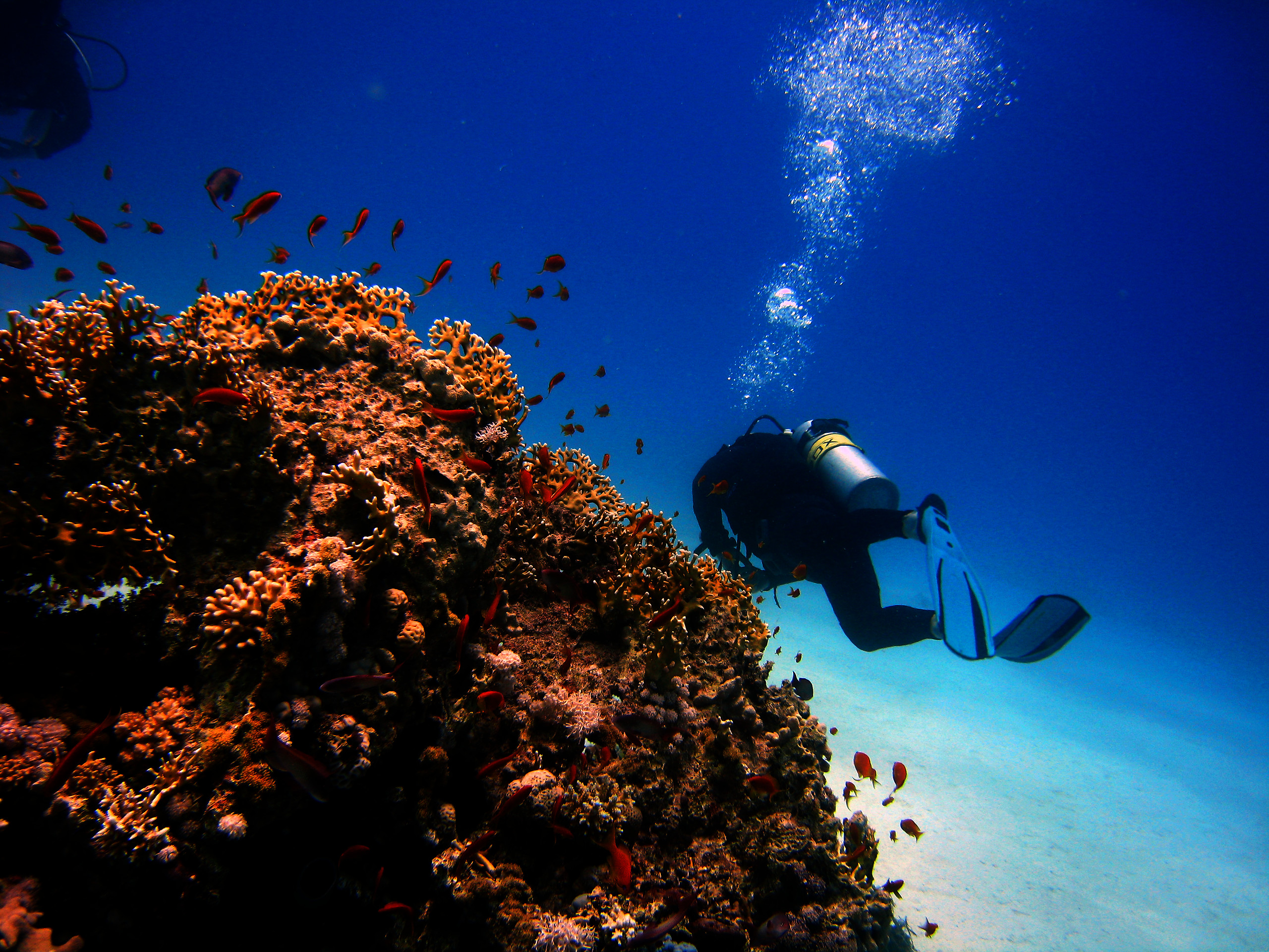 Scuba Diving Spots