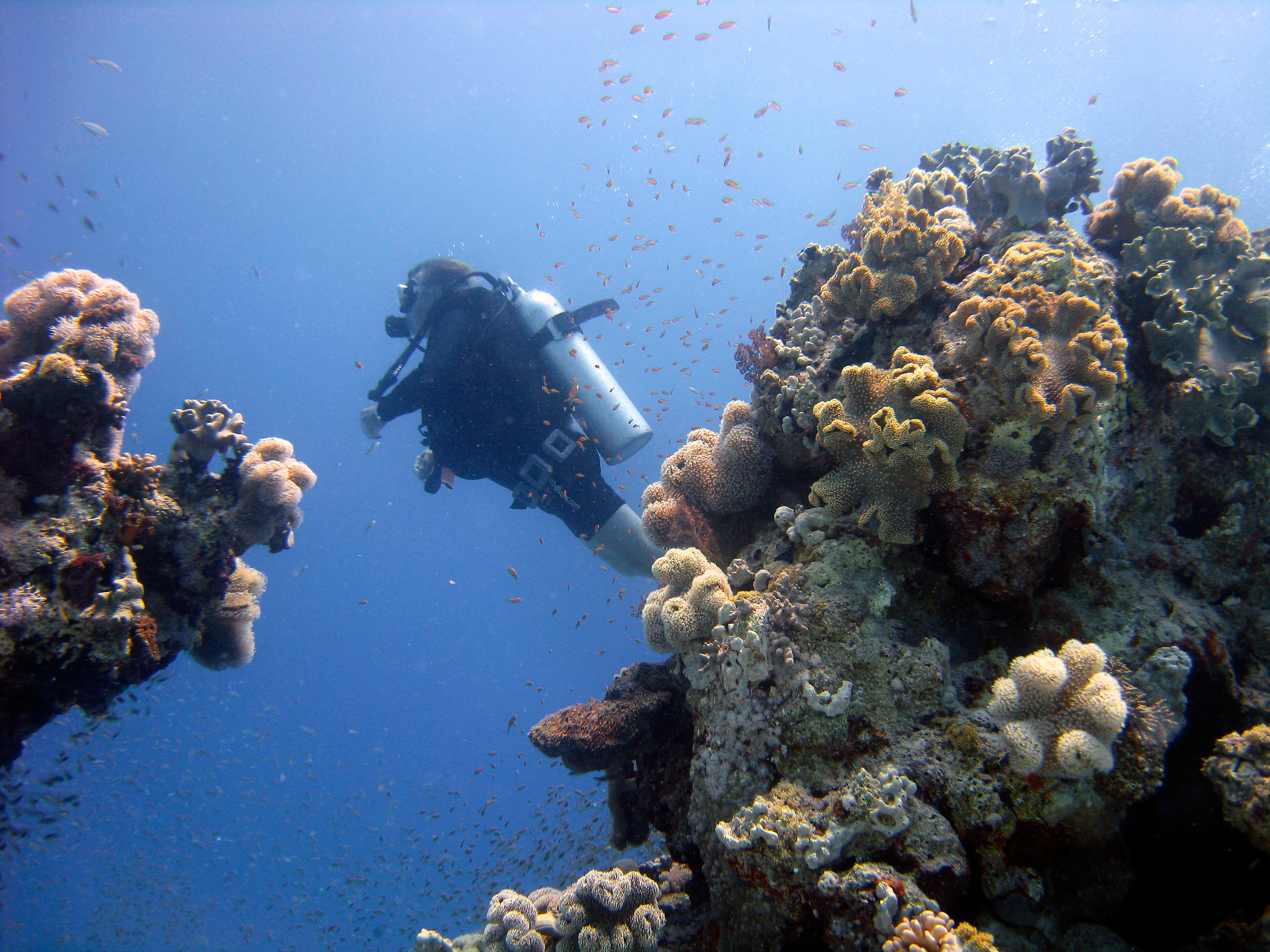 First dive PADI Discover Scuba Diver