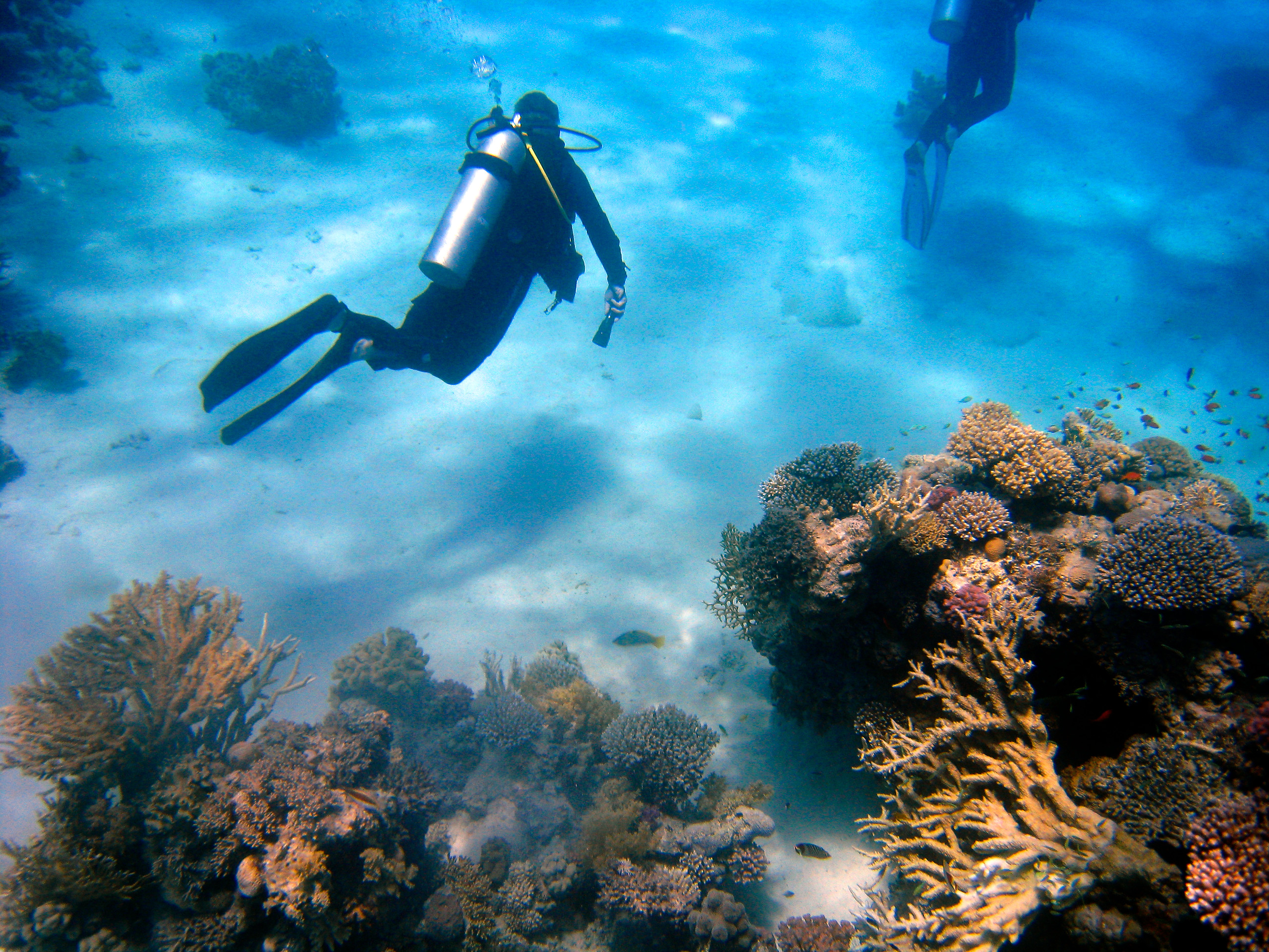 First dive PADI Discover Scuba Diver