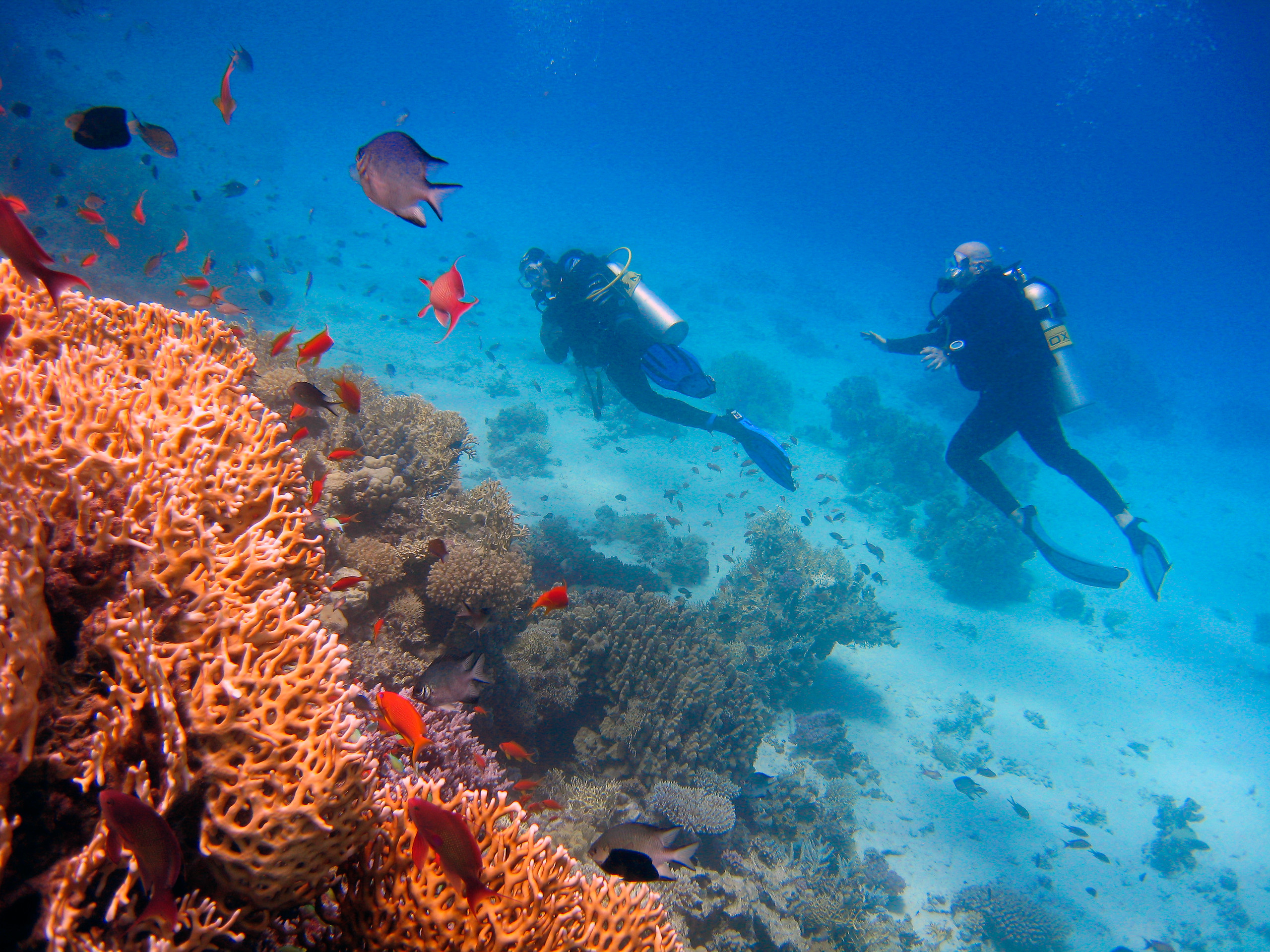 First dive PADI Discover Scuba Diver