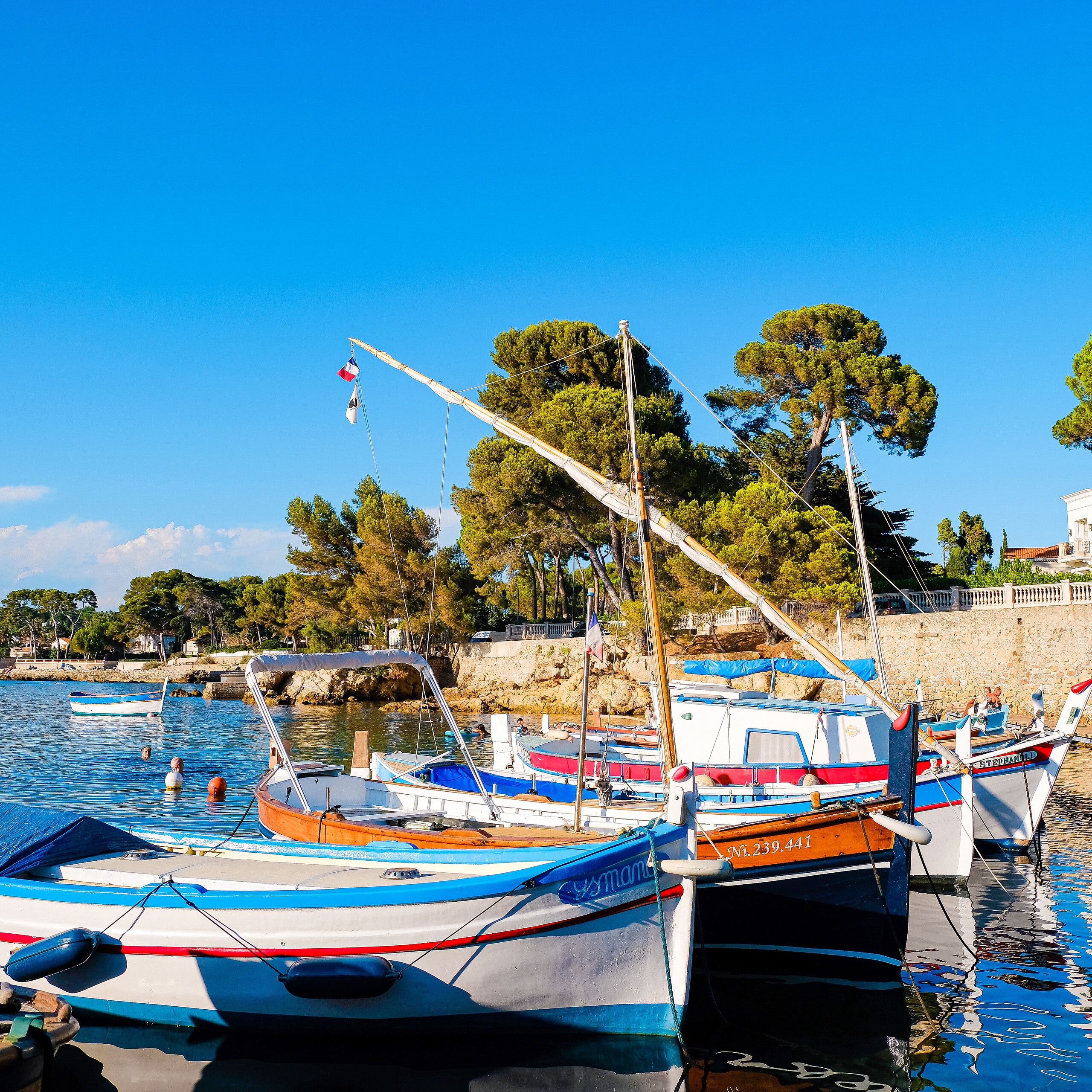 Club Med Opio en Provence, resort entre oliveiras e pinheiros no interior de Cannes