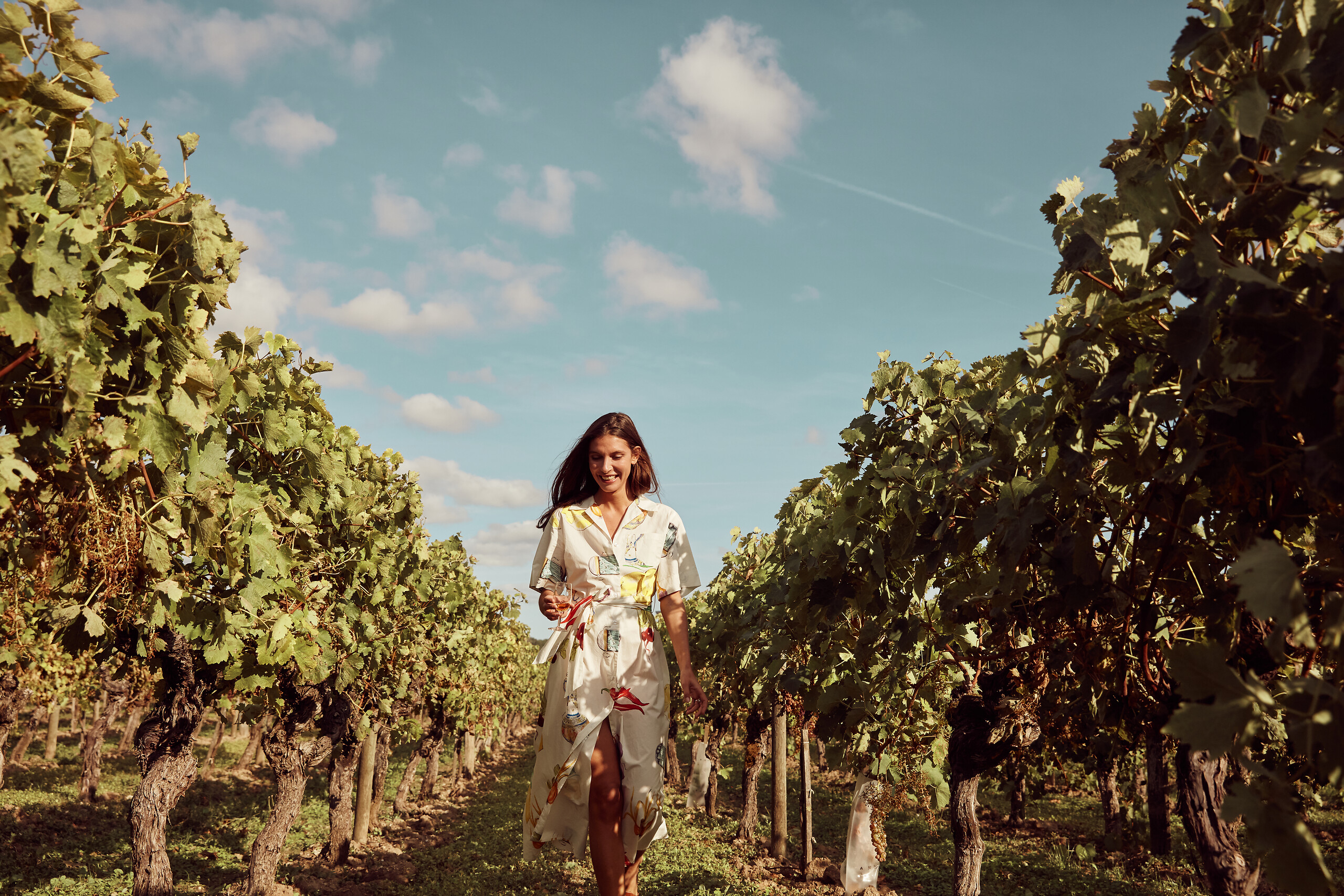 Pons et les Vignobles de Cognac