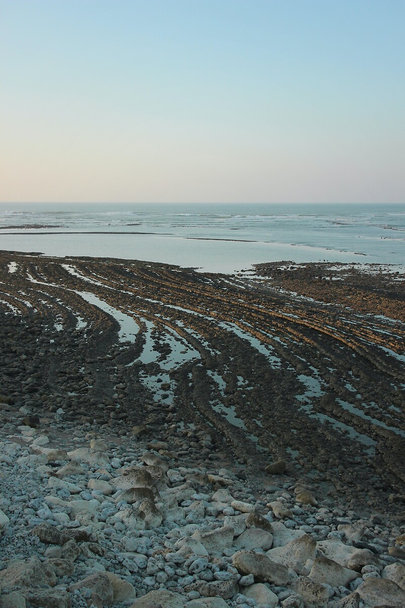 La Côte sauvage de l'île d'Oléron
