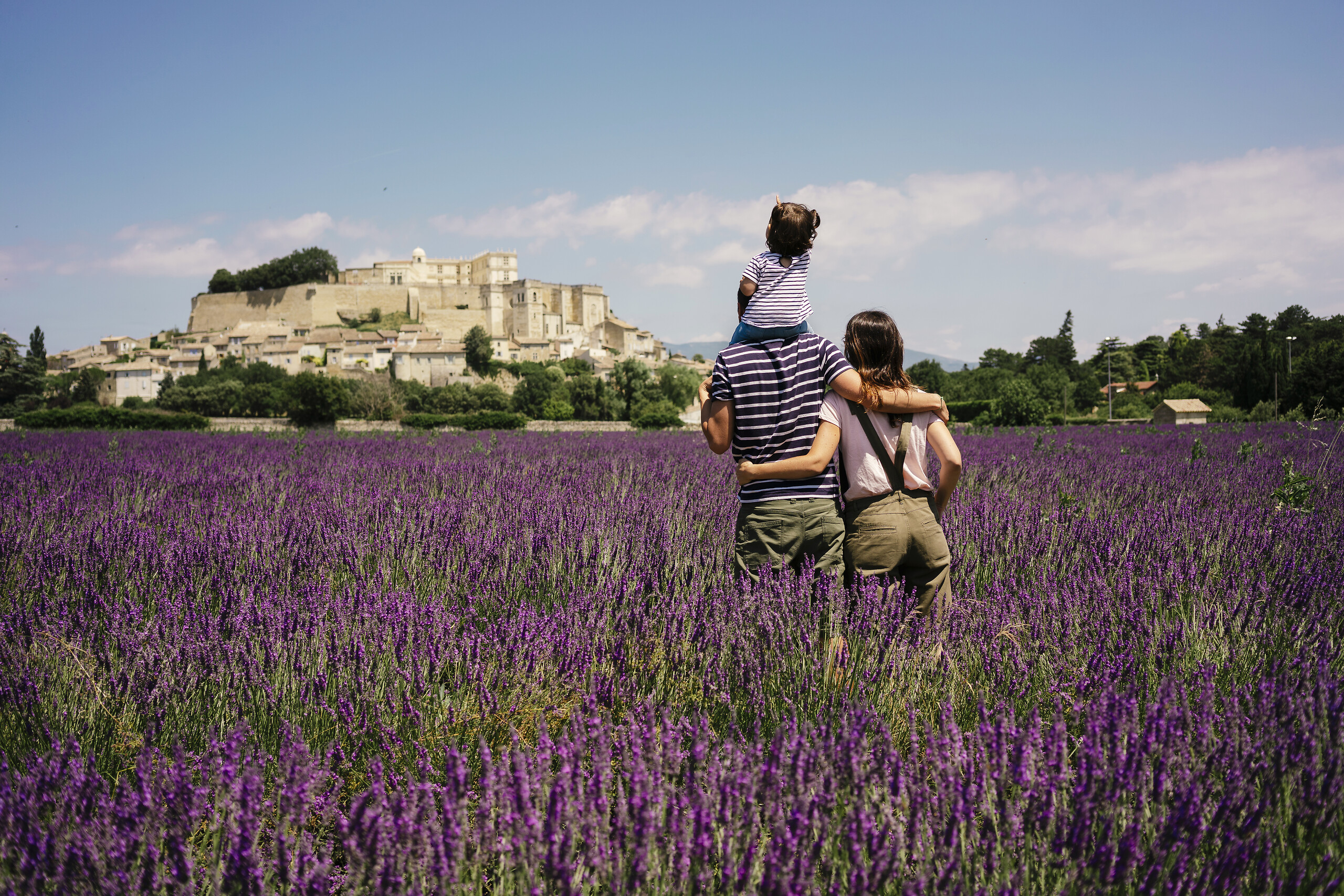 Nature and lavender in Valensole