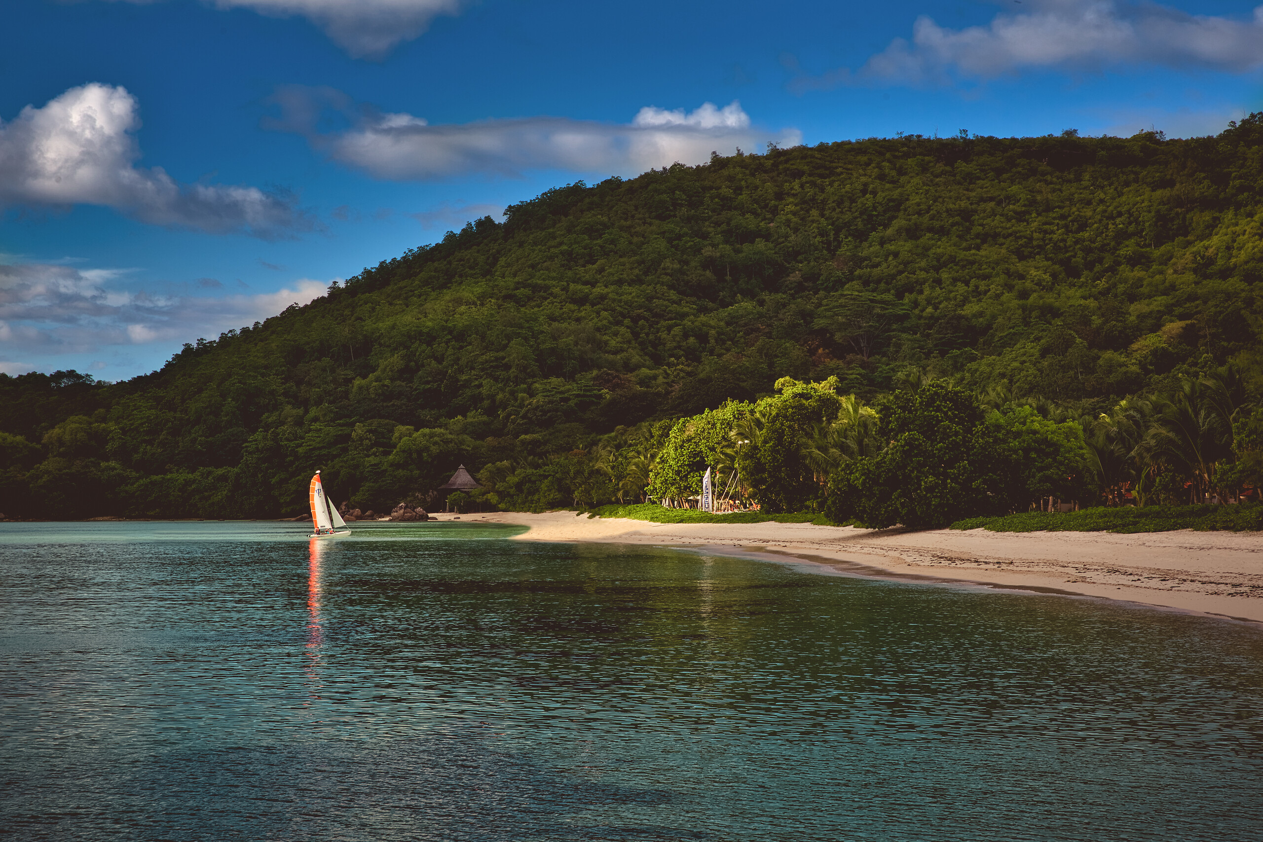 Free access to sailing
