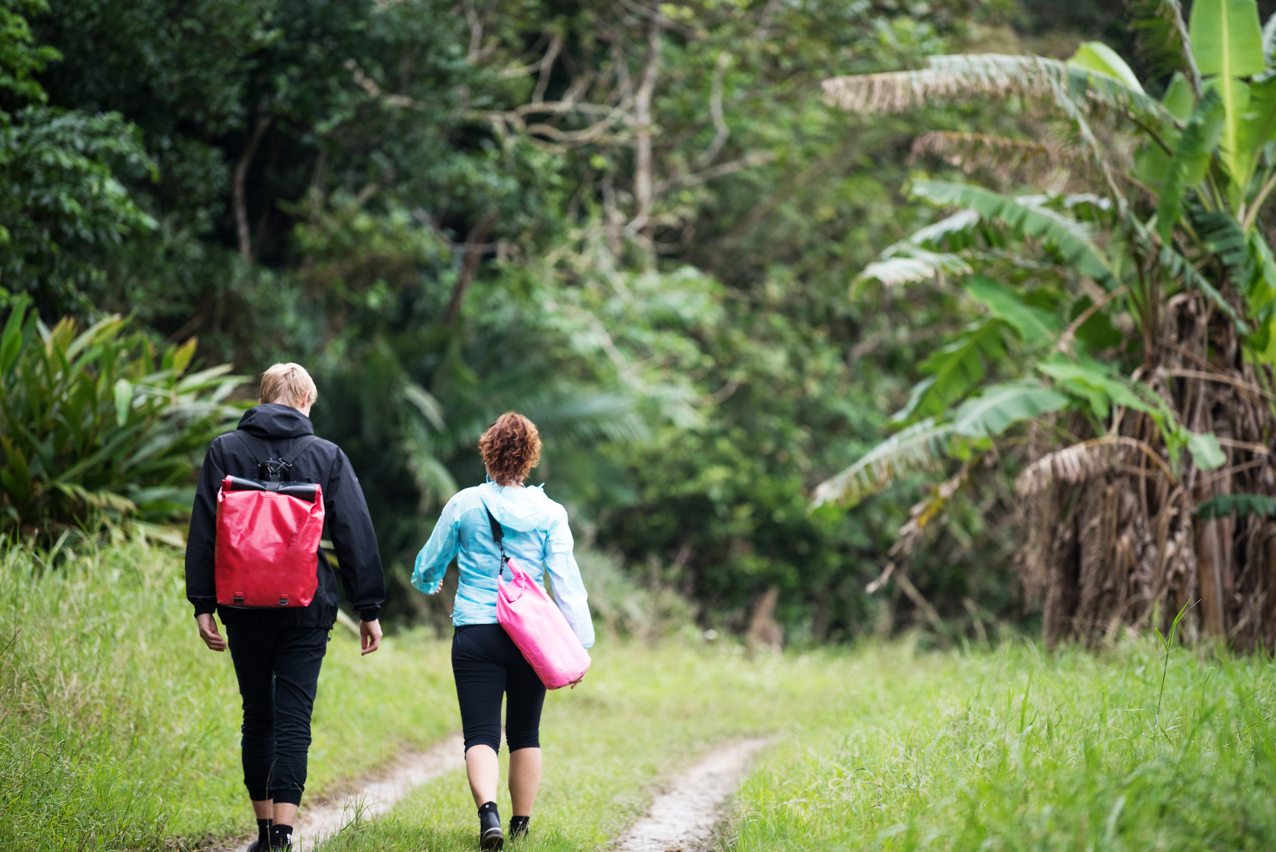 Guided walks