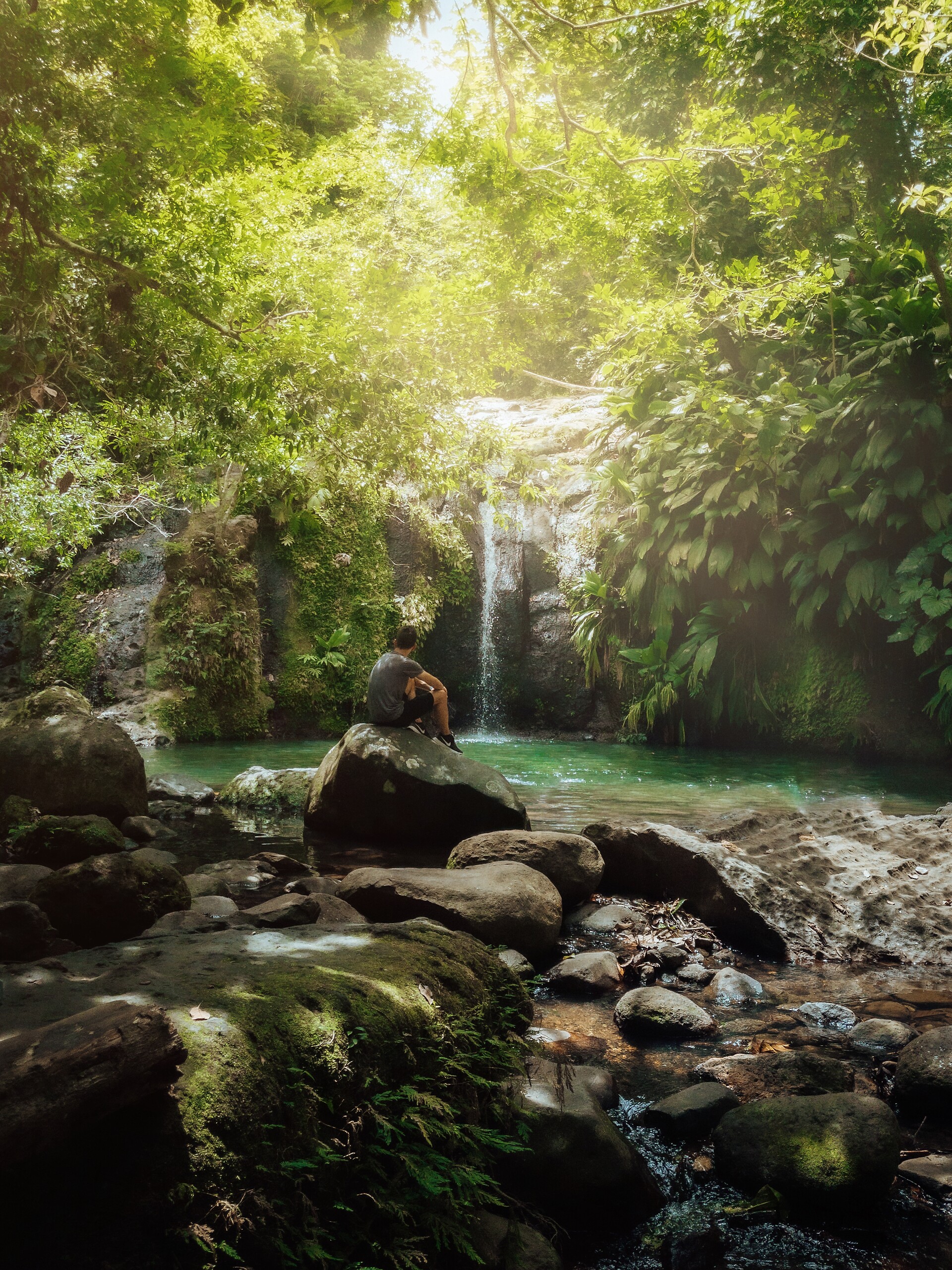 Waterfalls & tropical garden