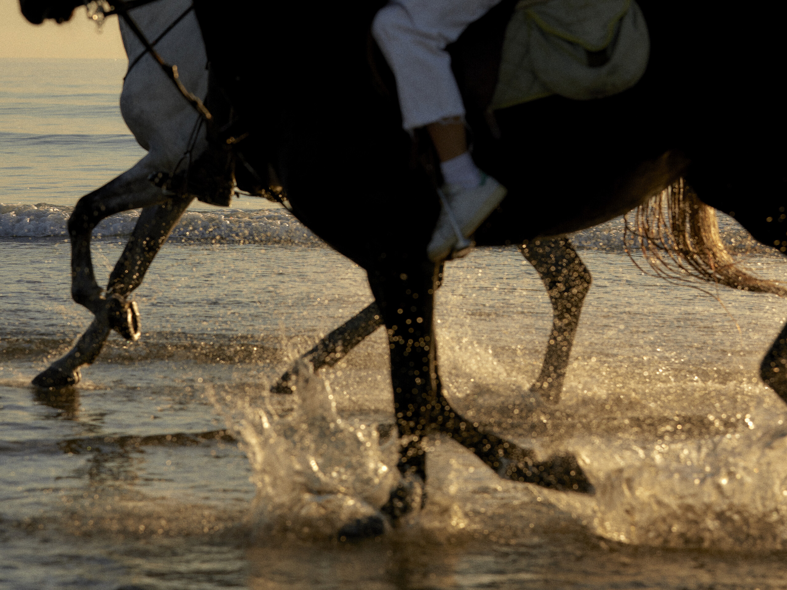 Horseback riding