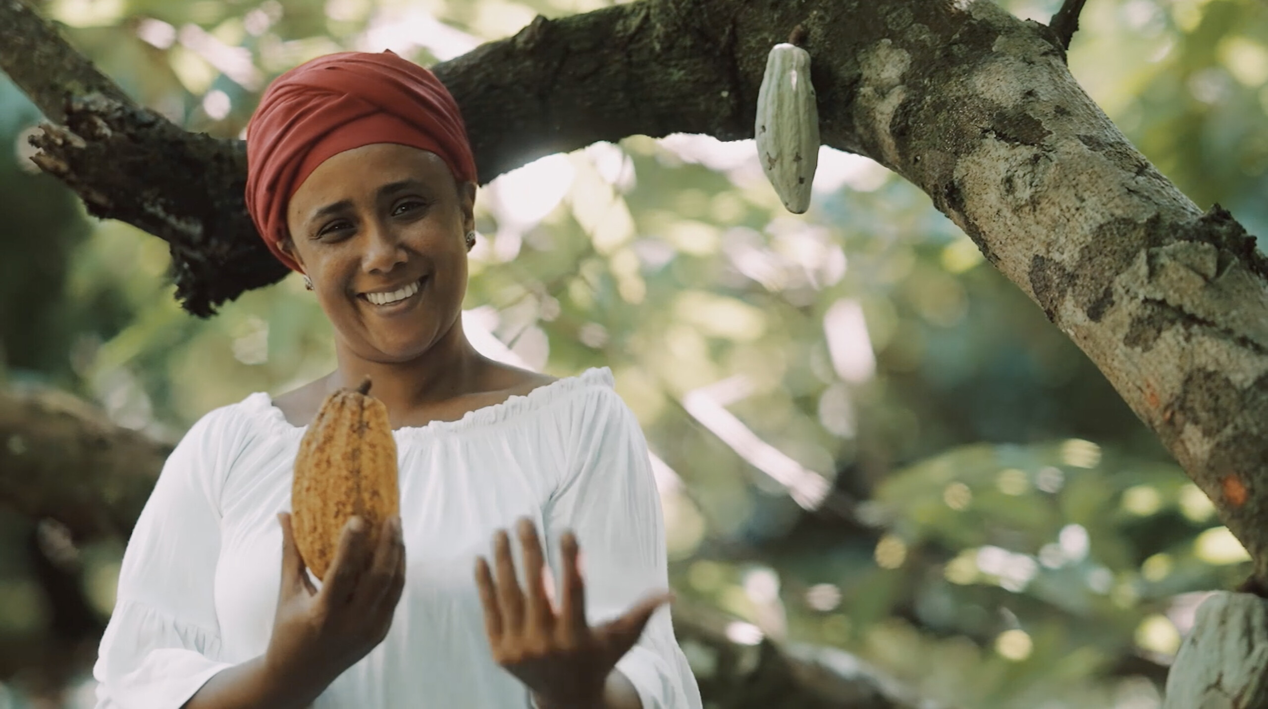 Agricultural Heritage and Cacao Trails