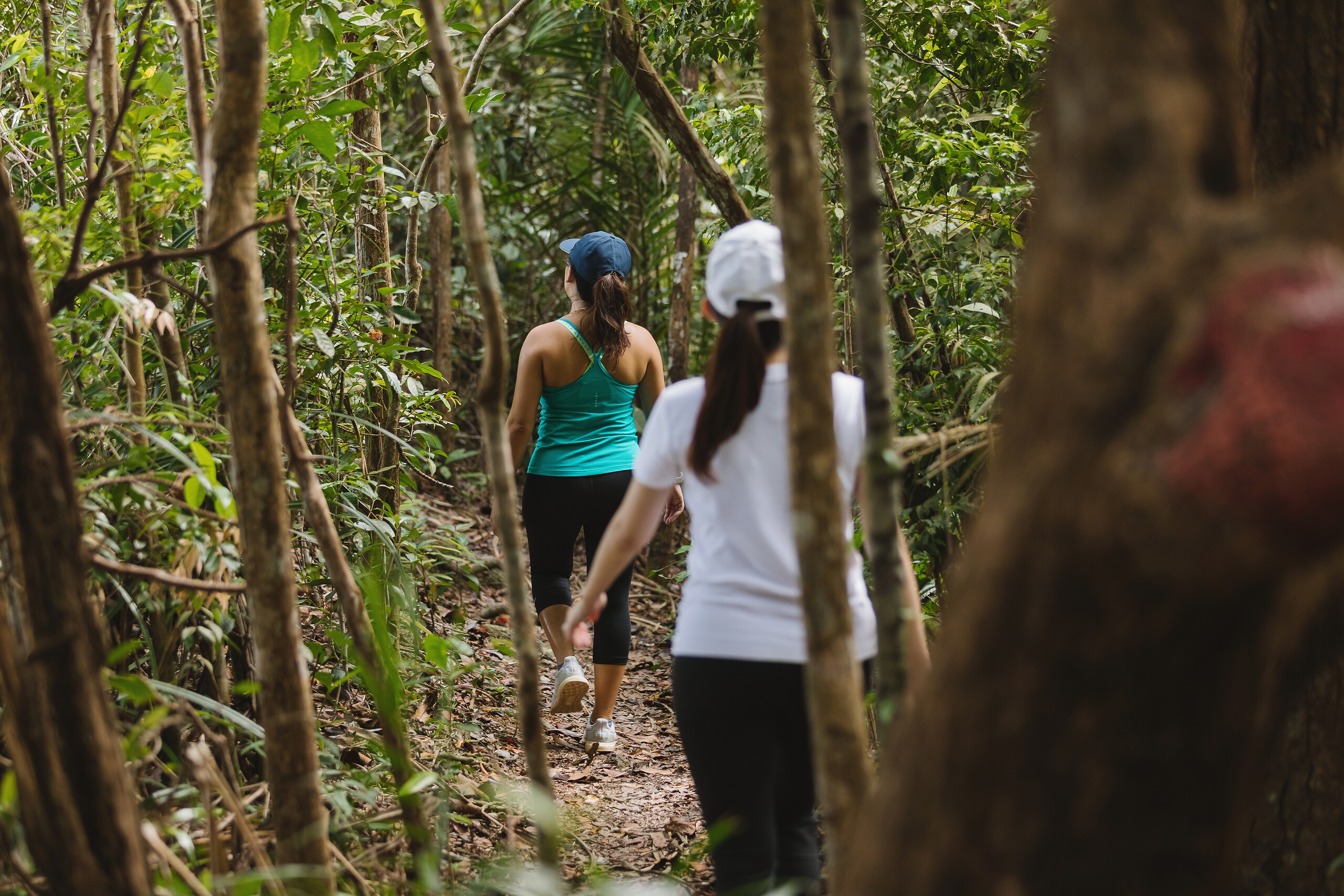Nature Trail