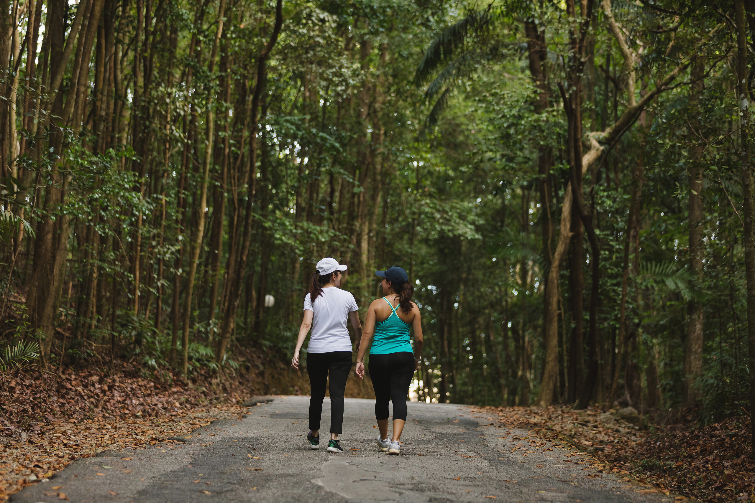 Guided walks