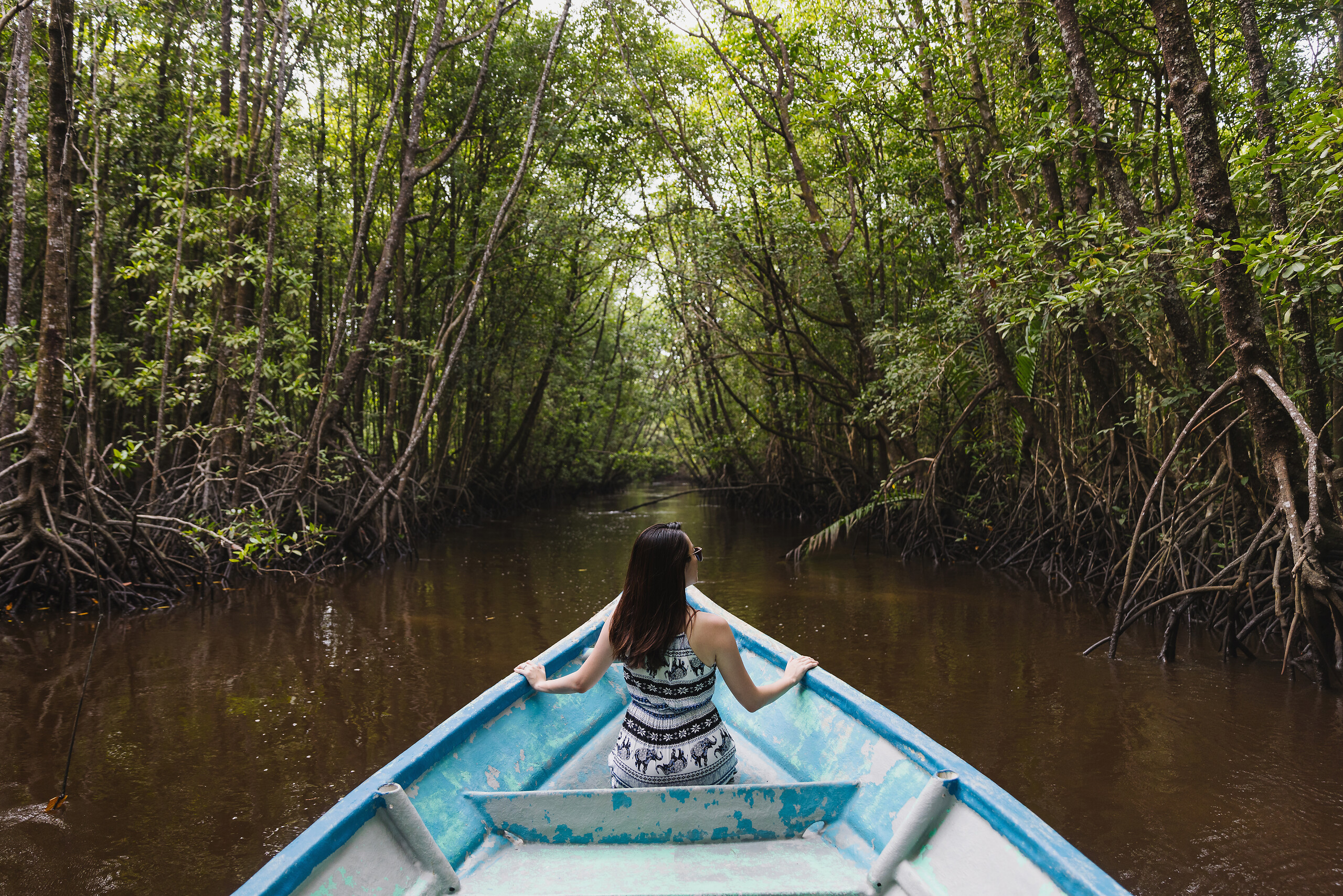 Mangrove River Cruise