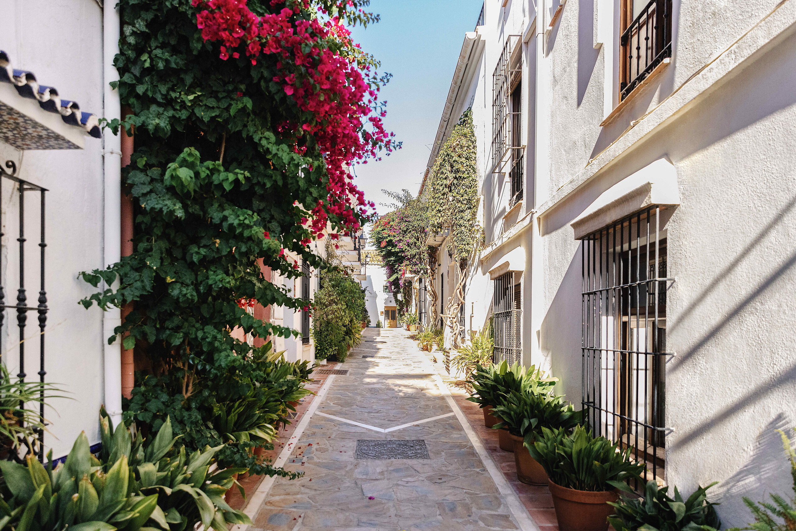 Malaga, capitale culturelle