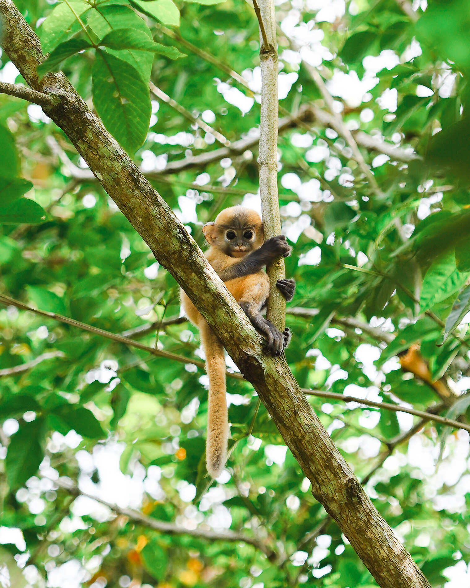 Wildlife Discovery Trail