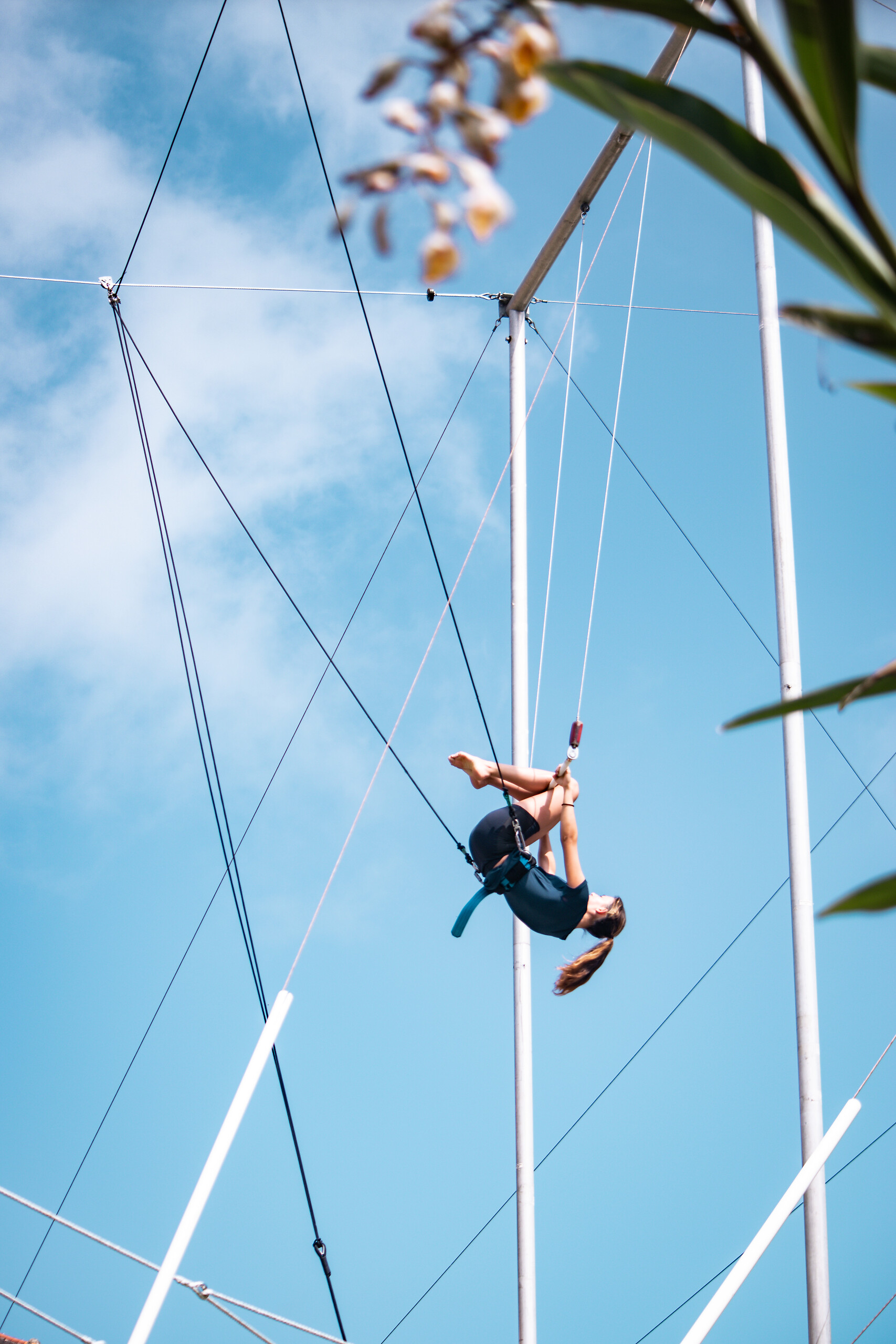 Flying trapeze group lessons