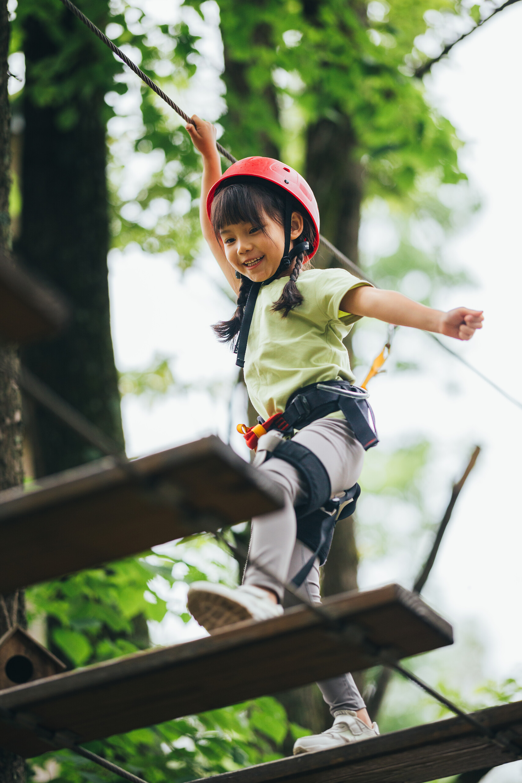 Treetop adventure (Accrobranche)