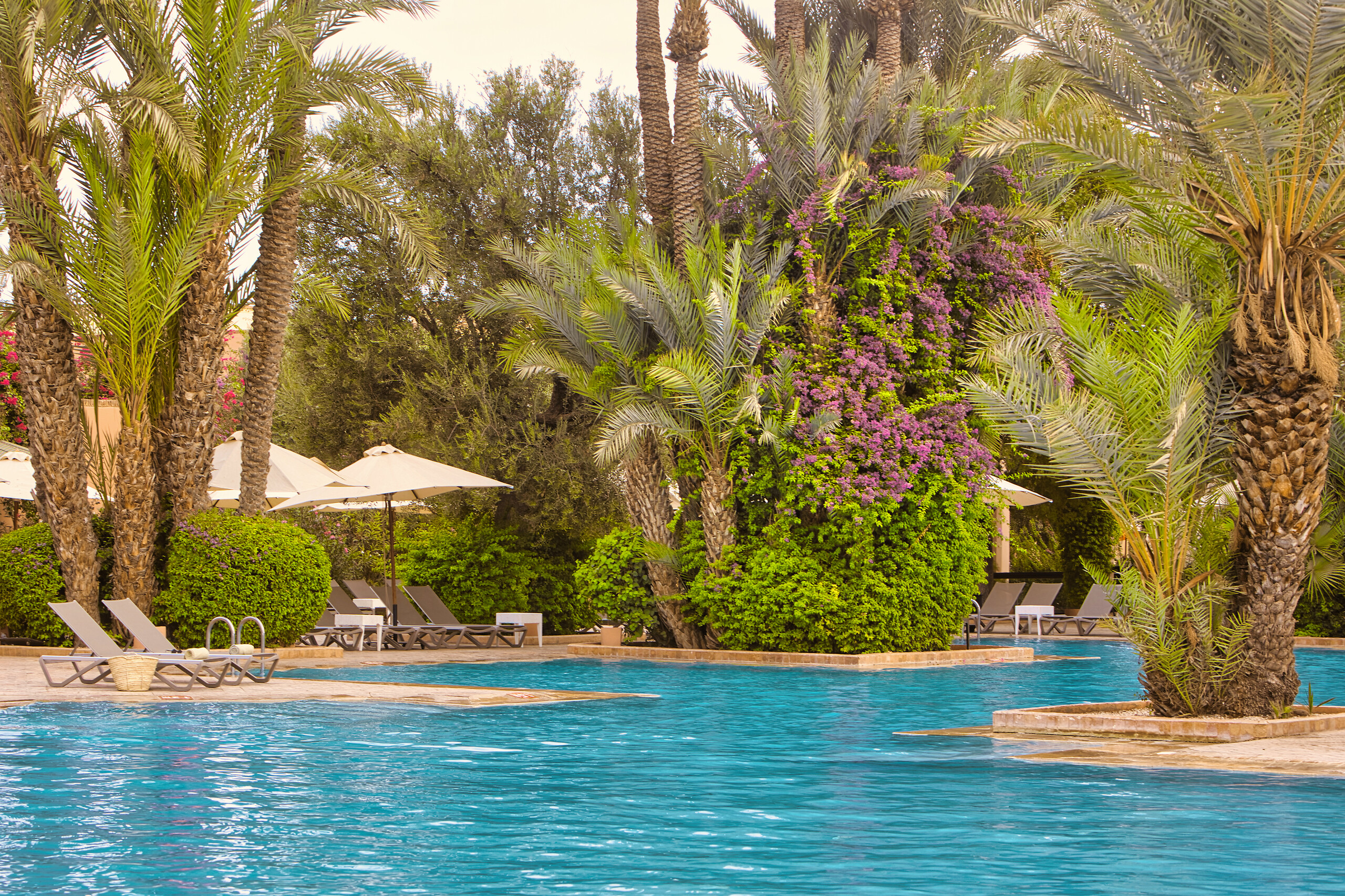 Piscine principale