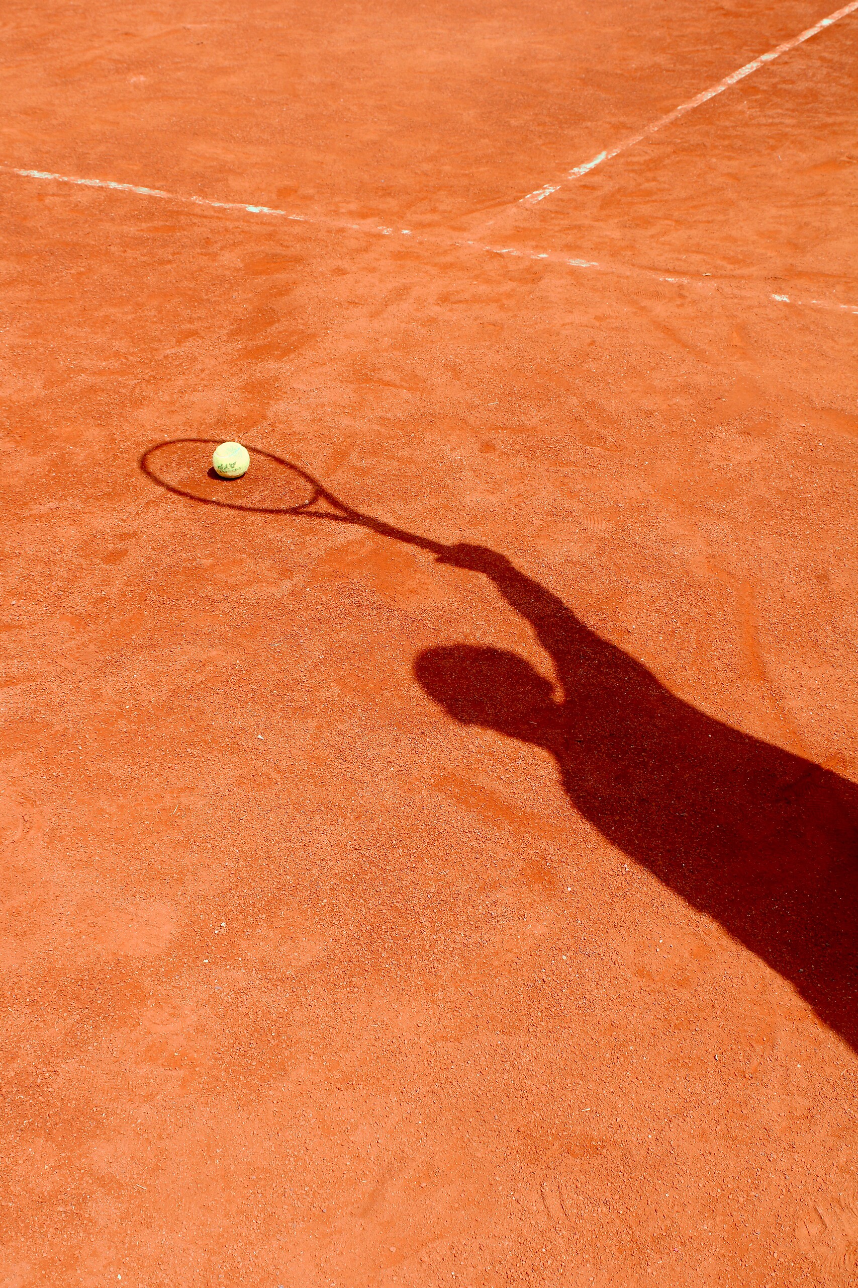 Tenis