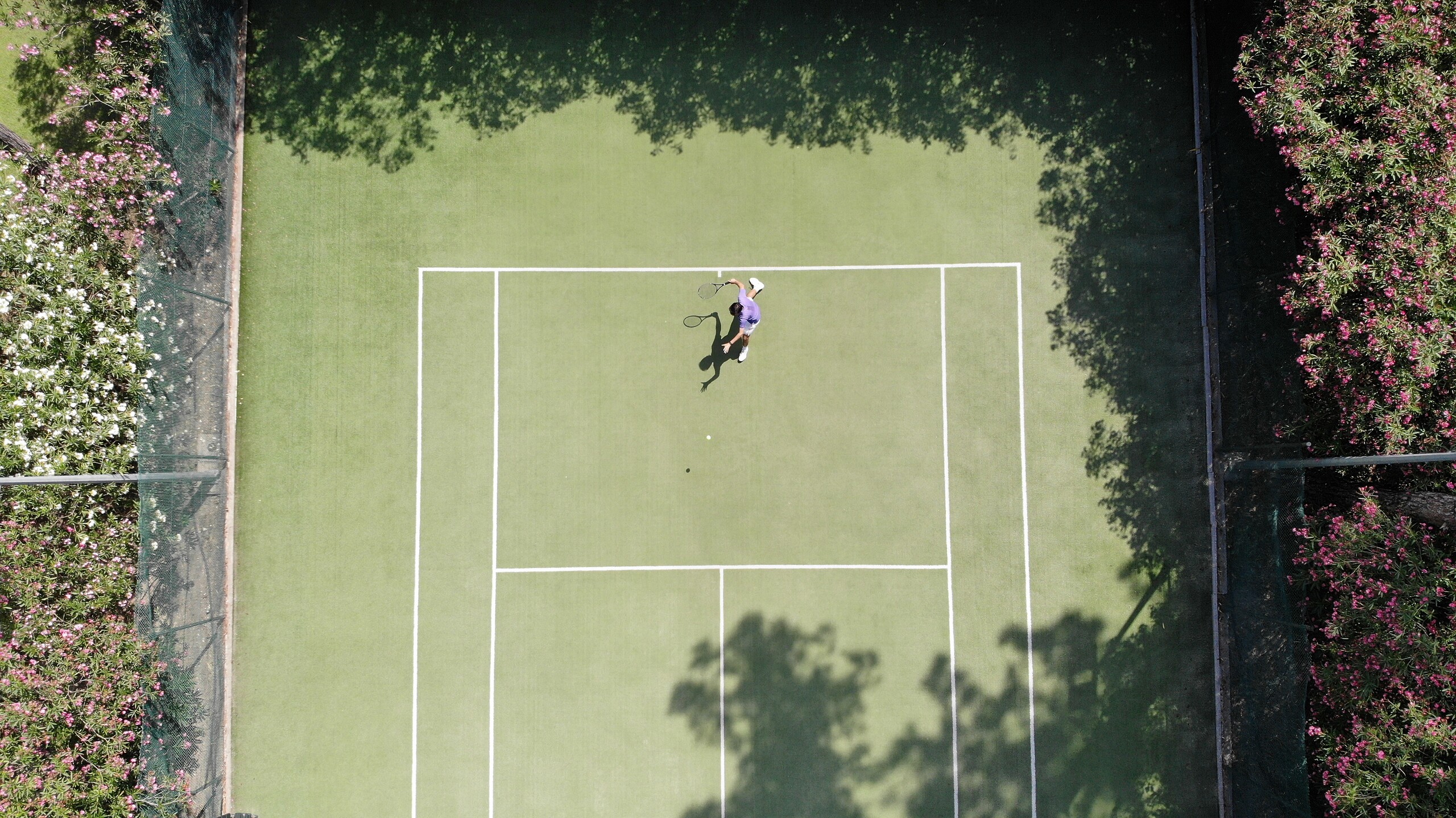 Tenis