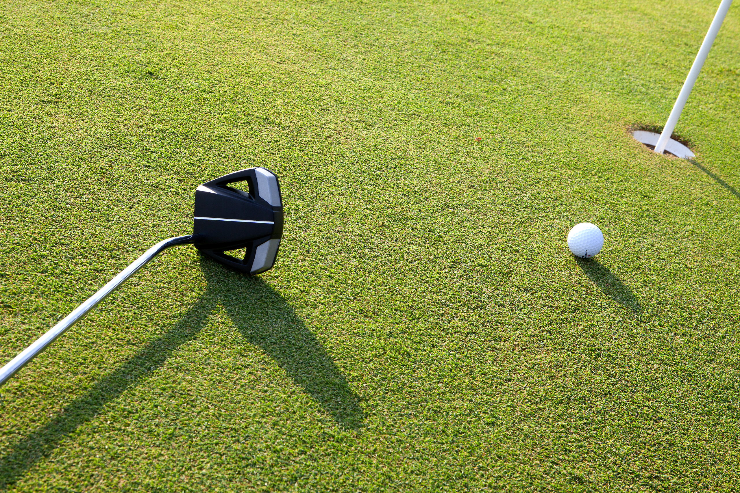 Offre Green Fees