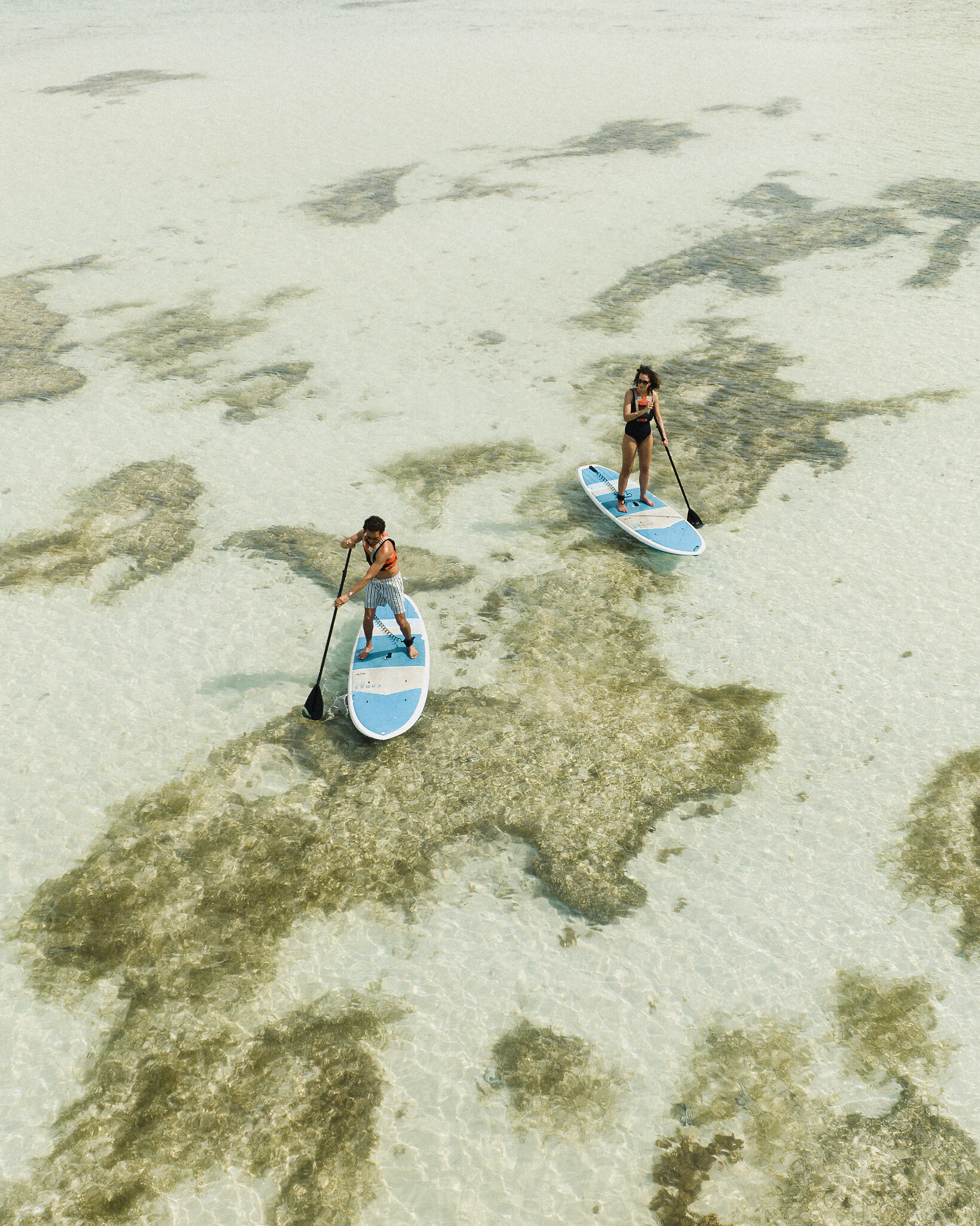 Stand up Paddle