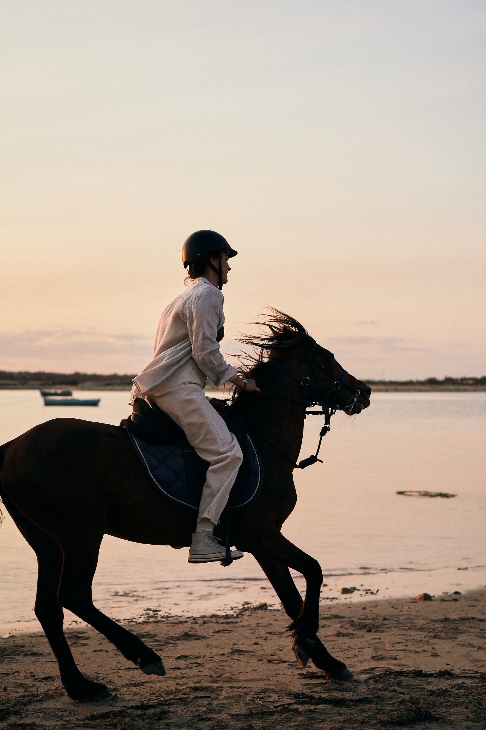 Équitation