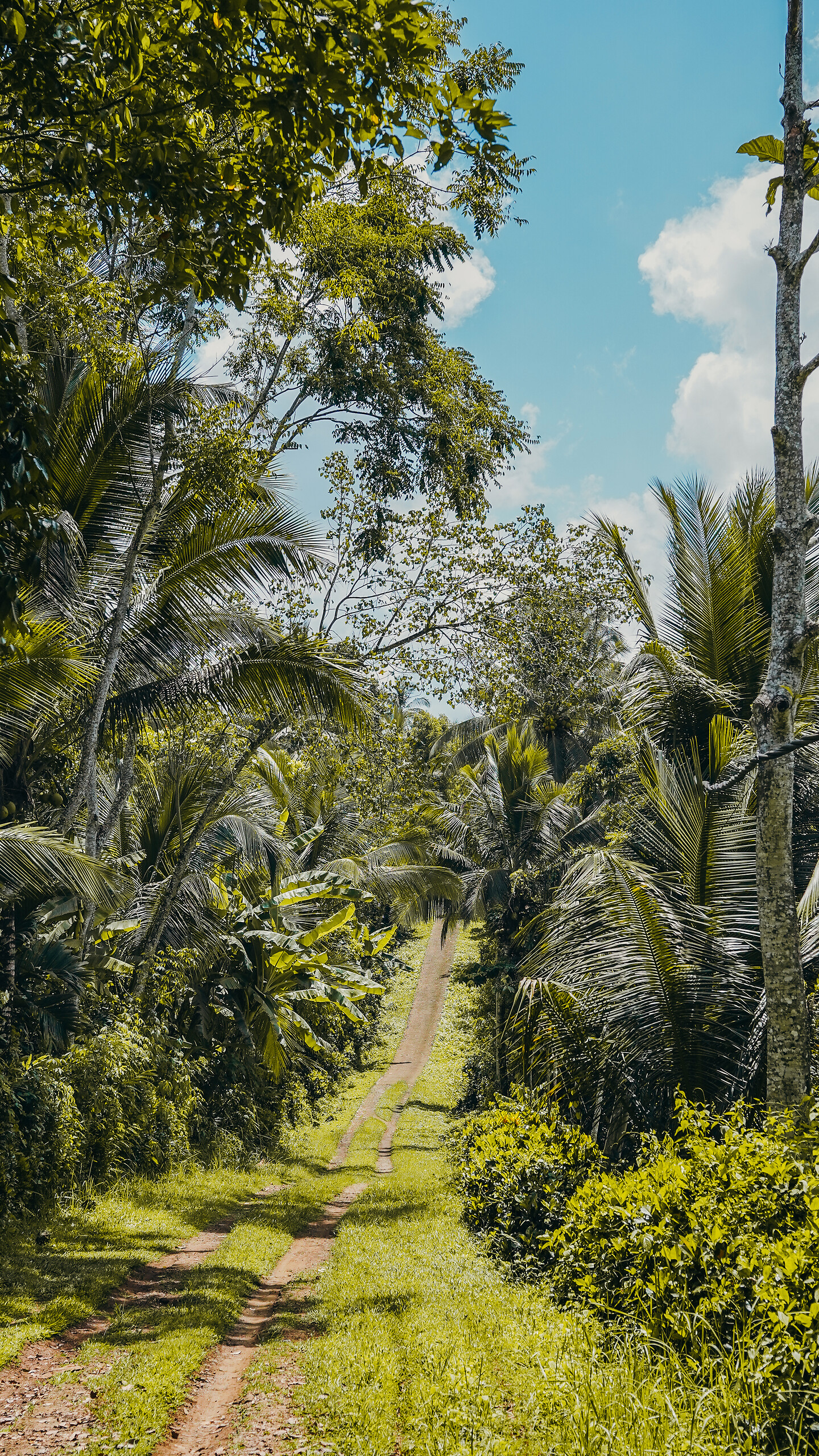 4x4 – w głąb prawdziwego Bali