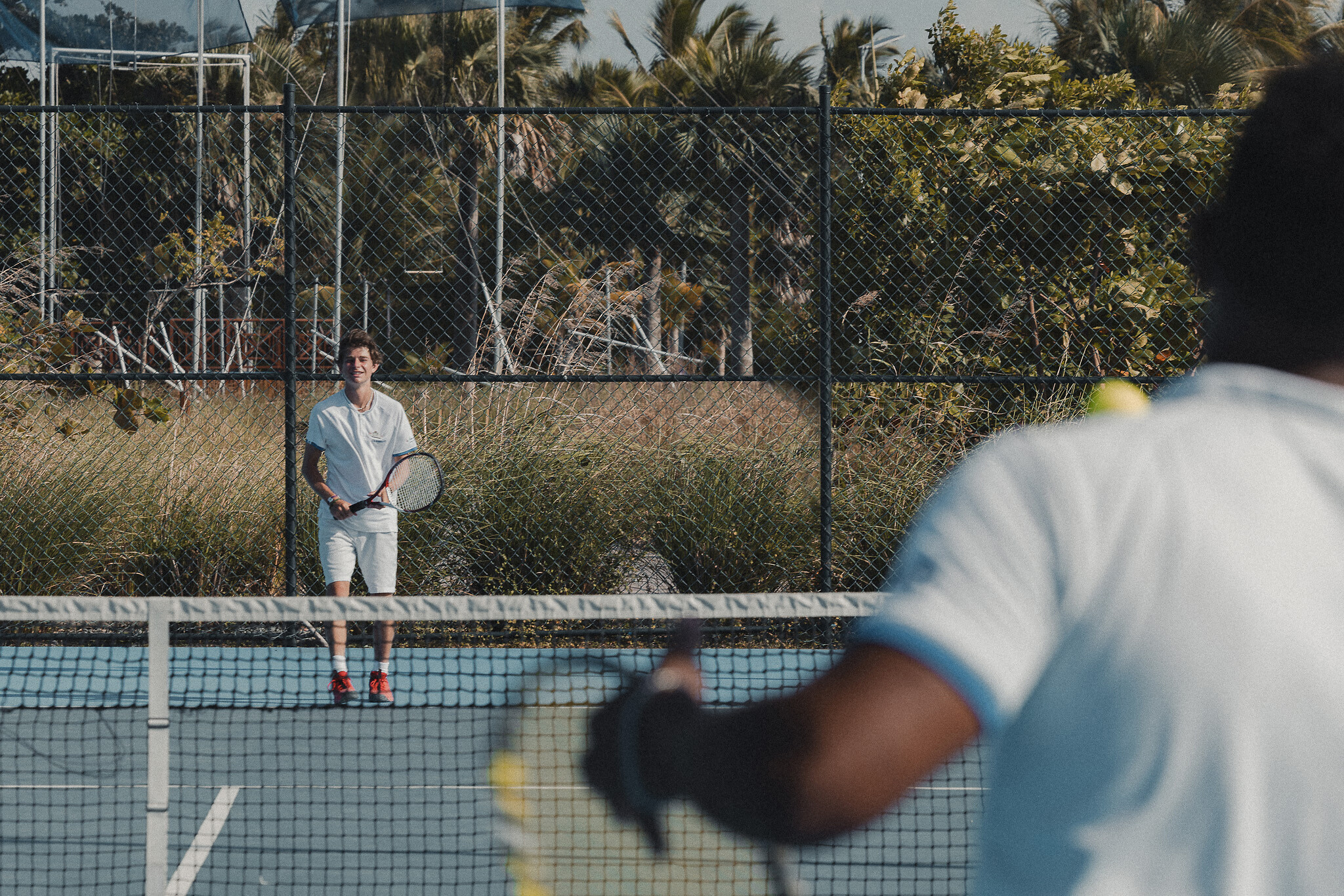 Tenis