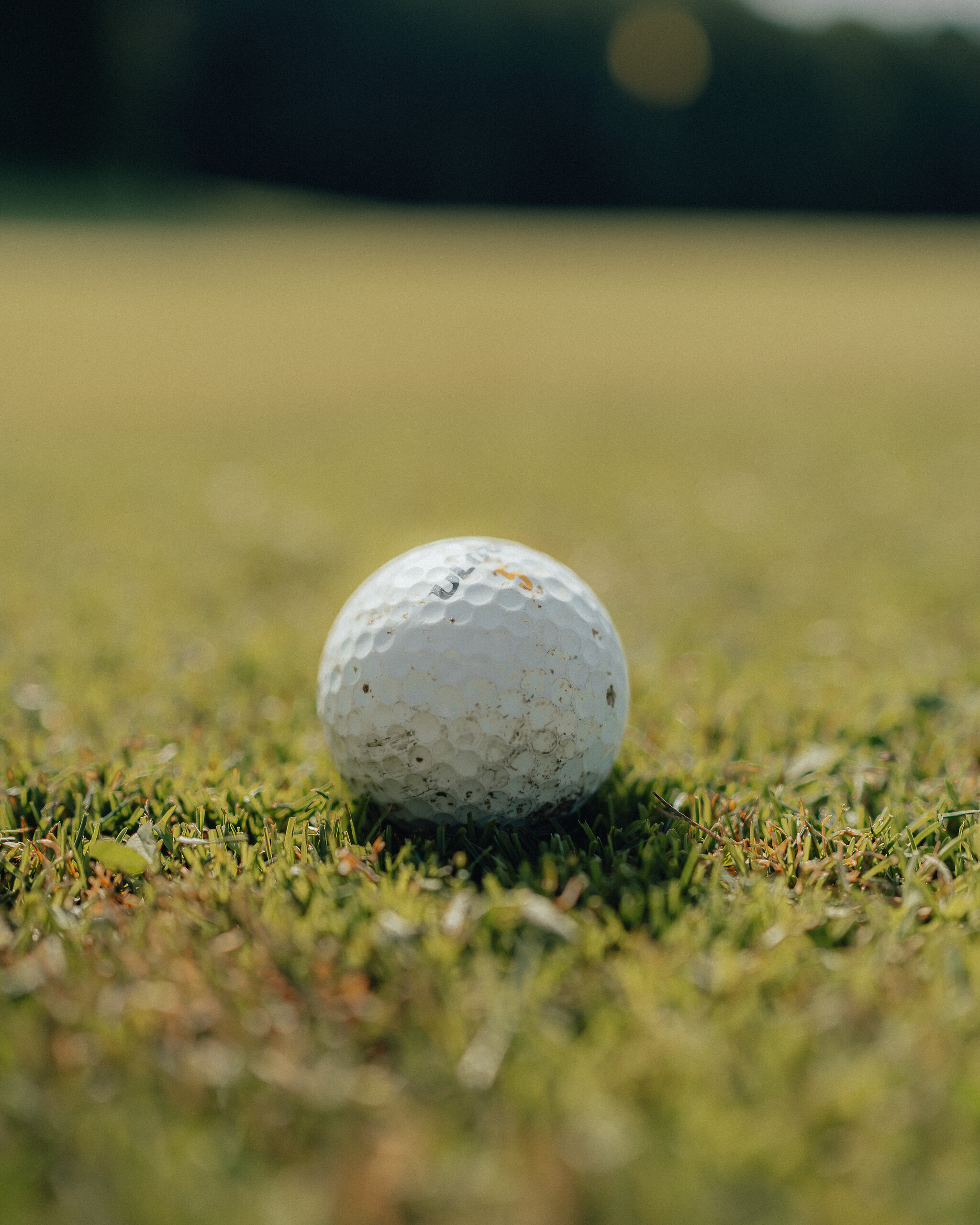 Stage de perfectionnement de golf - 5 jours